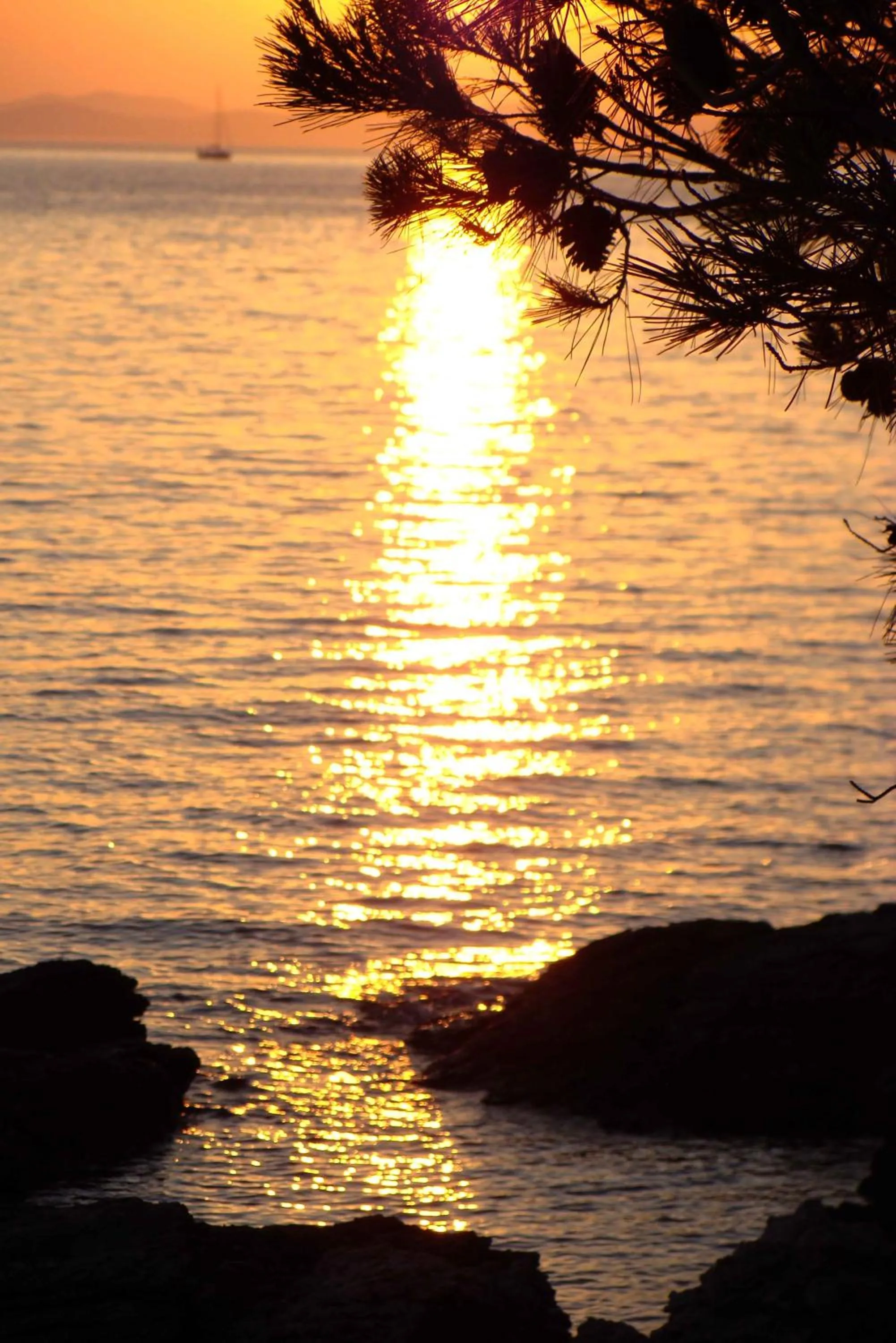 Sunset in Camp Rehut