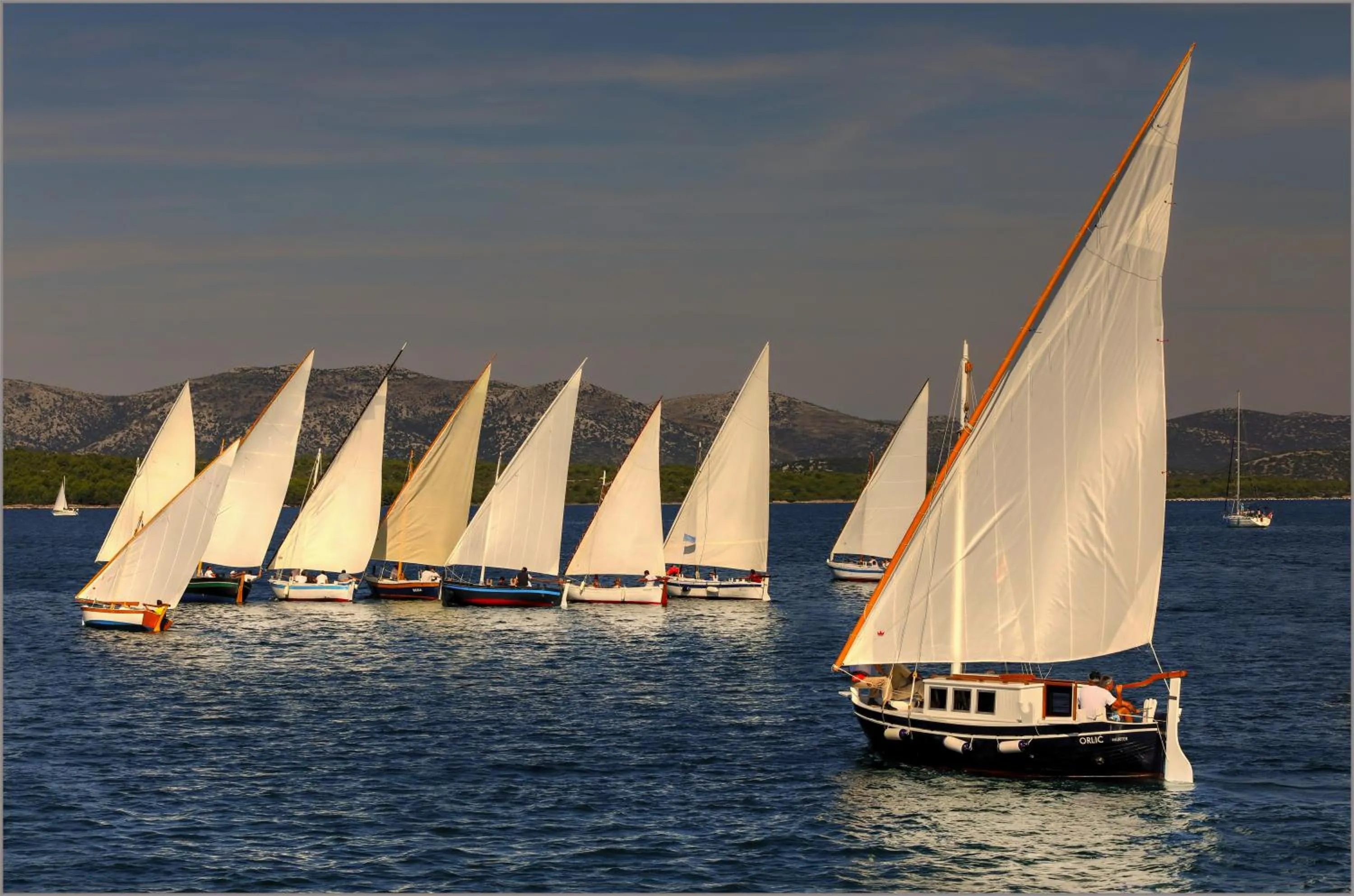 Activities in Camp Rehut