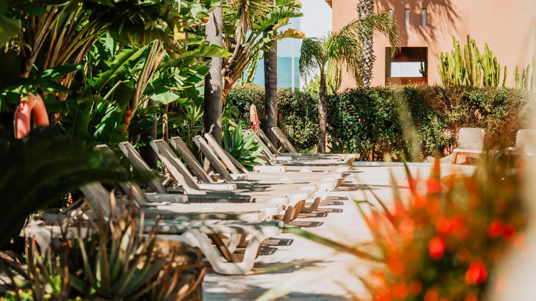 Swimming pool in Tarifa Lances by QHotels