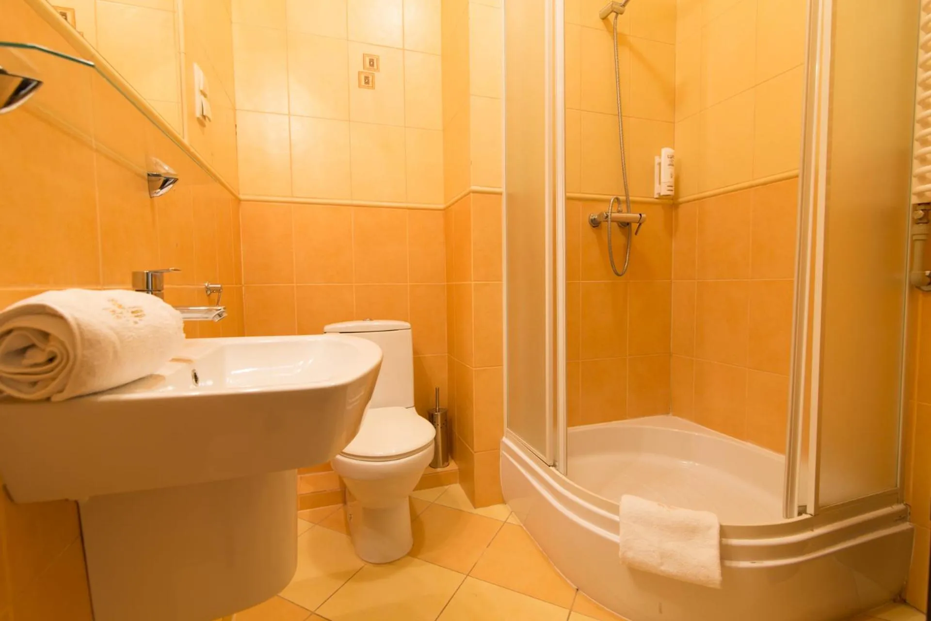 Shower in Apartamenty Renesans