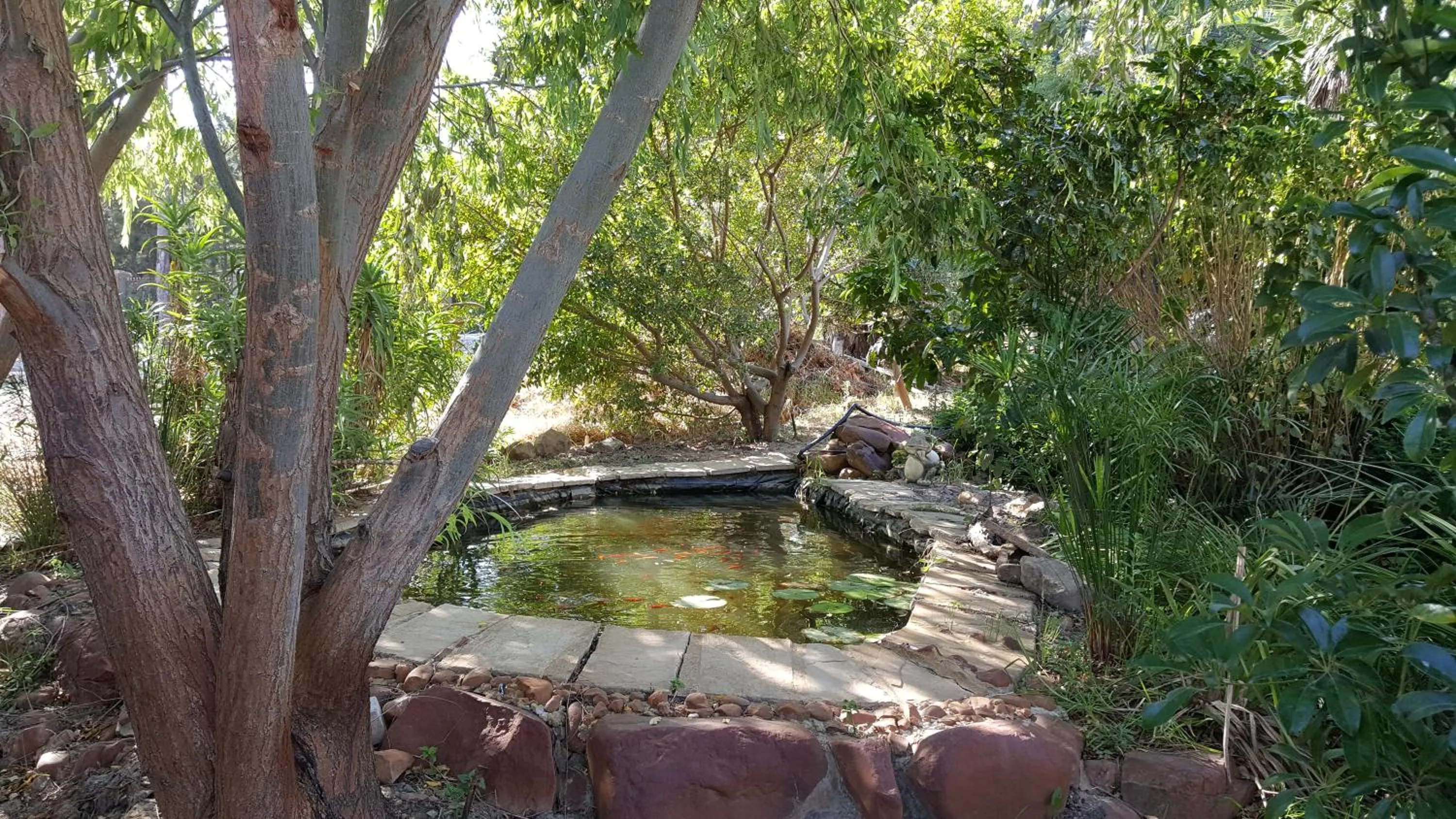 Natural landscape in Tuckaway