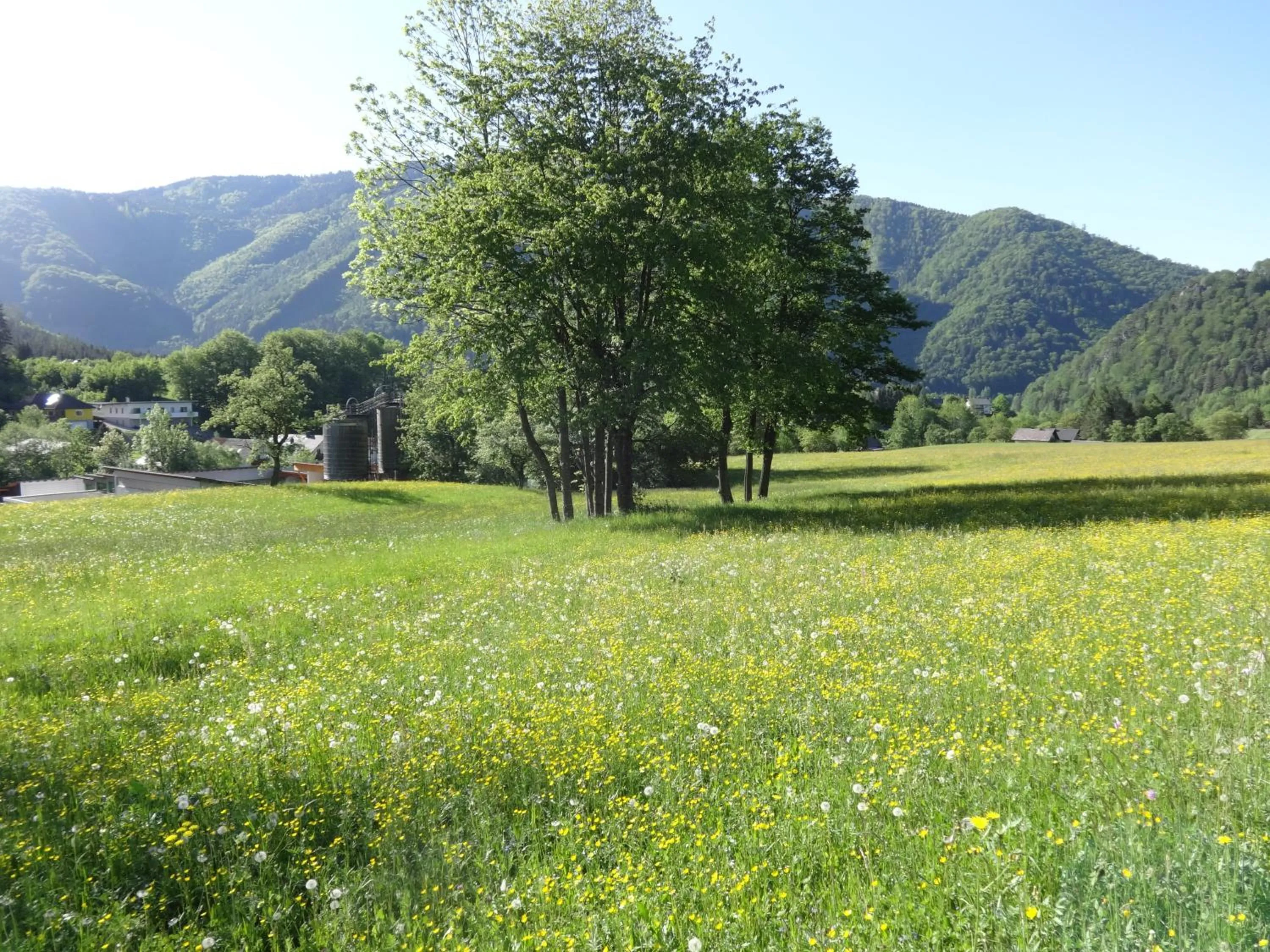Frühstückspension Irmer