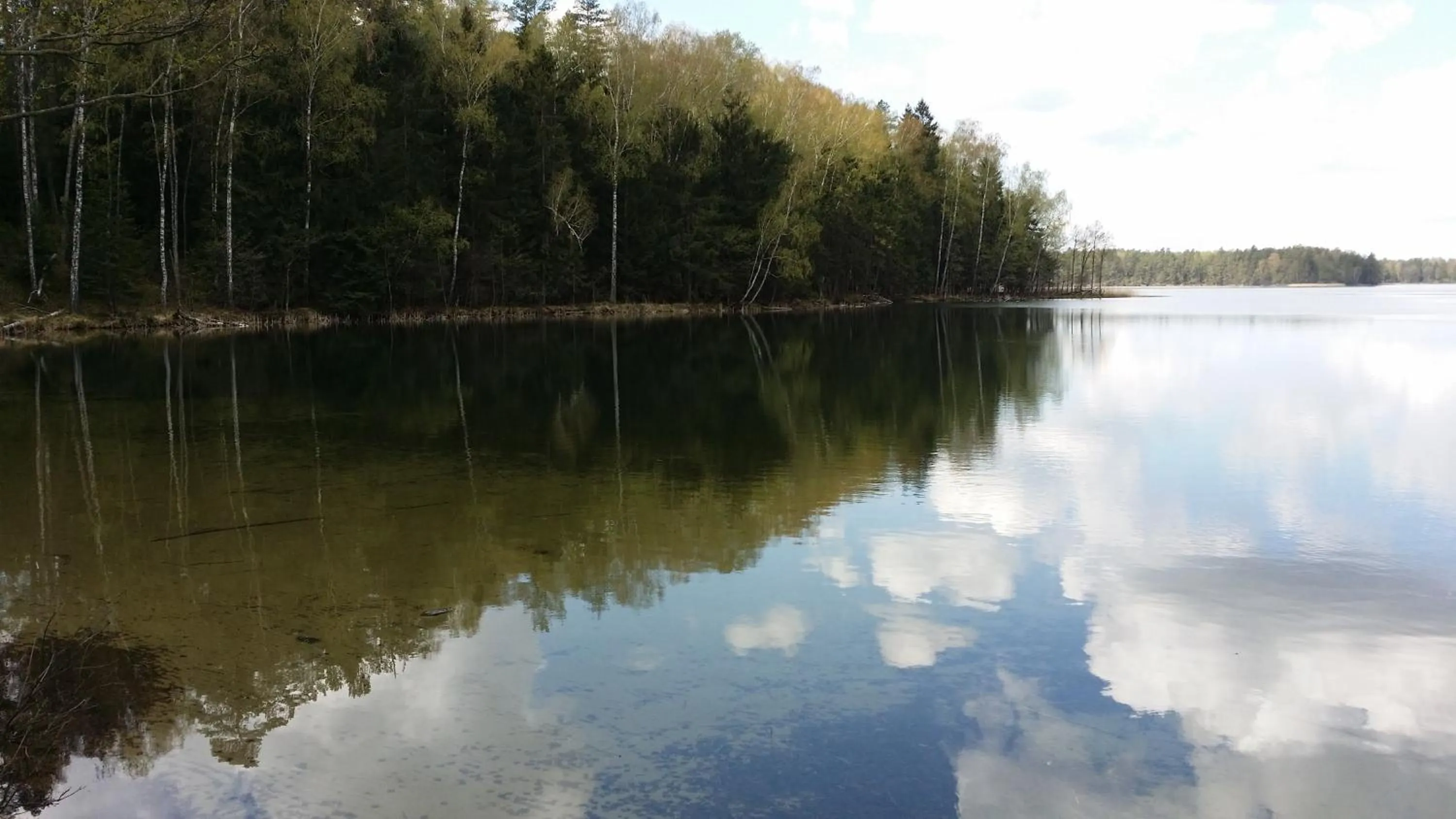 Summer in Dwór Łumbie