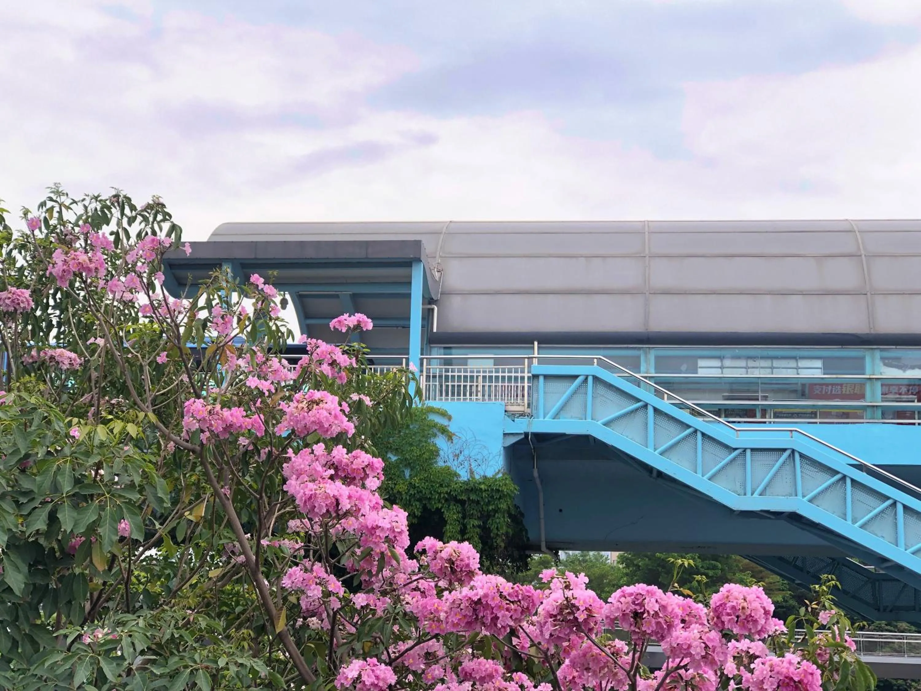 Other in Hyatt Regency Xiamen Wuyuanwan