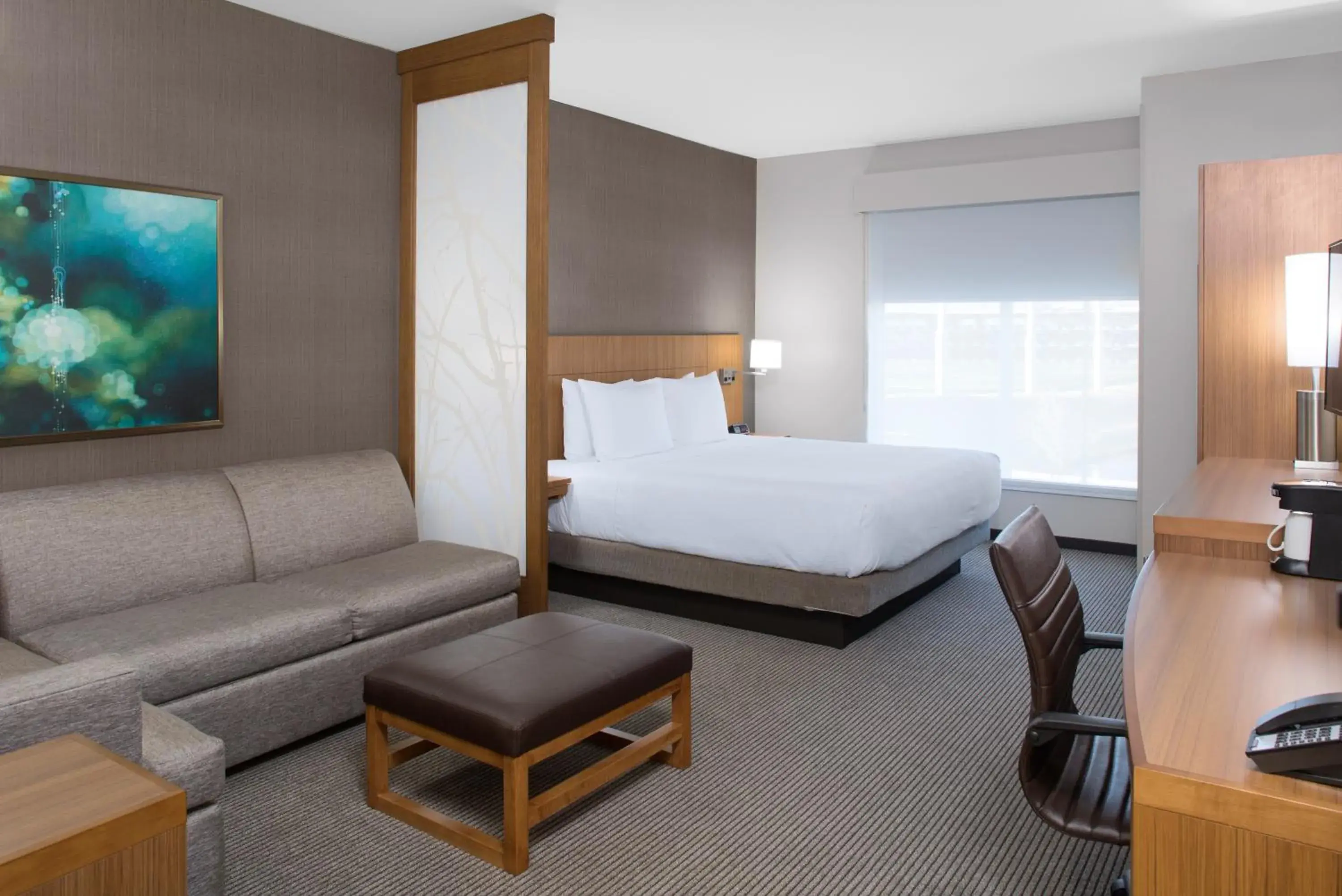 King Suite with Sofa Bed and Roll-In Shower - Disability Access in Hyatt Place Dallas/The Colony King Suite with Sofa Bed and Roll-In Shower - Disability Access in Hyatt Place Dallas/The Colony