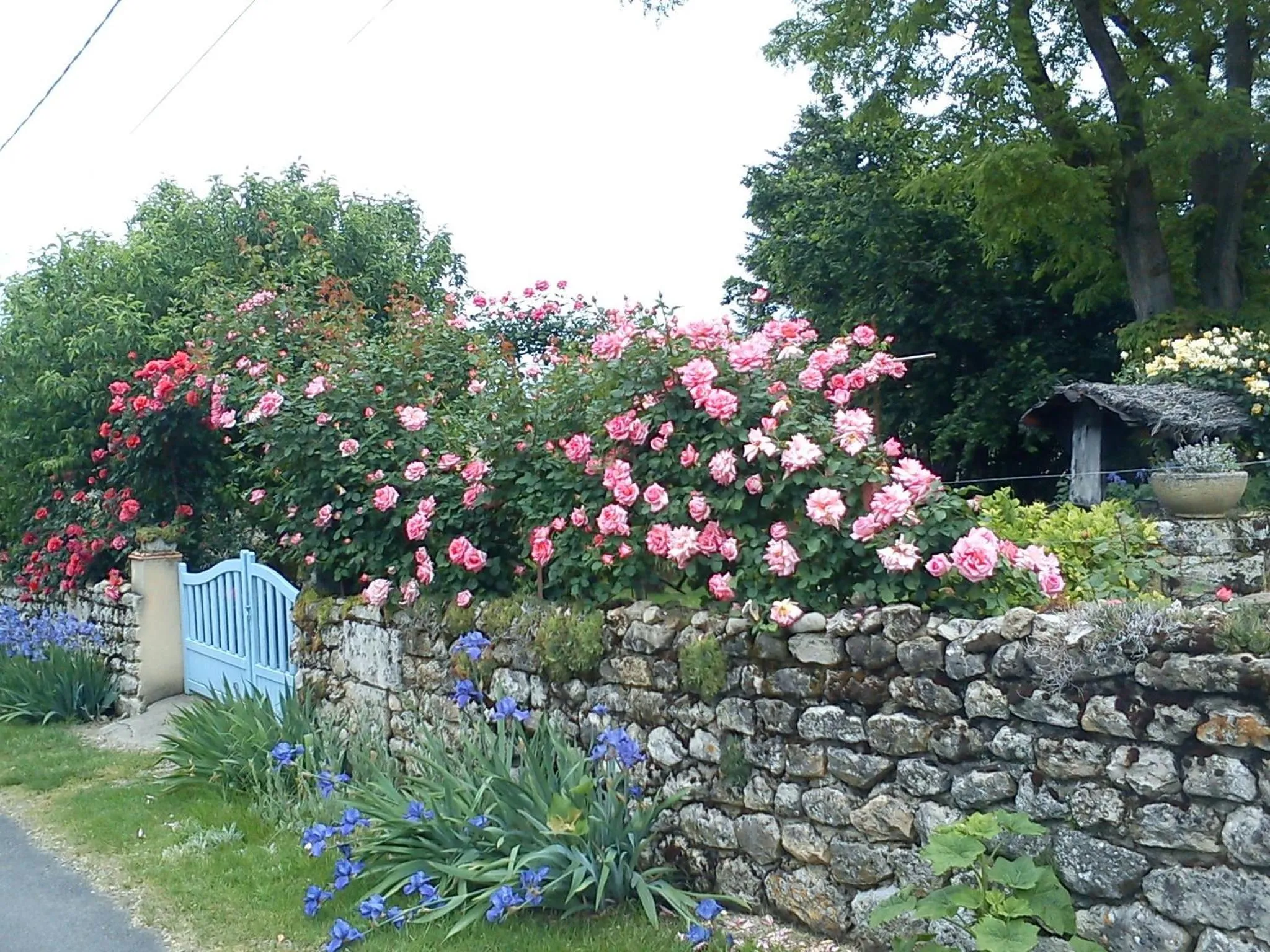 Natural landscape in La Petite Provence de Touron