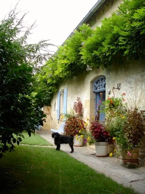 Inner courtyard view in La Petite Provence de Touron