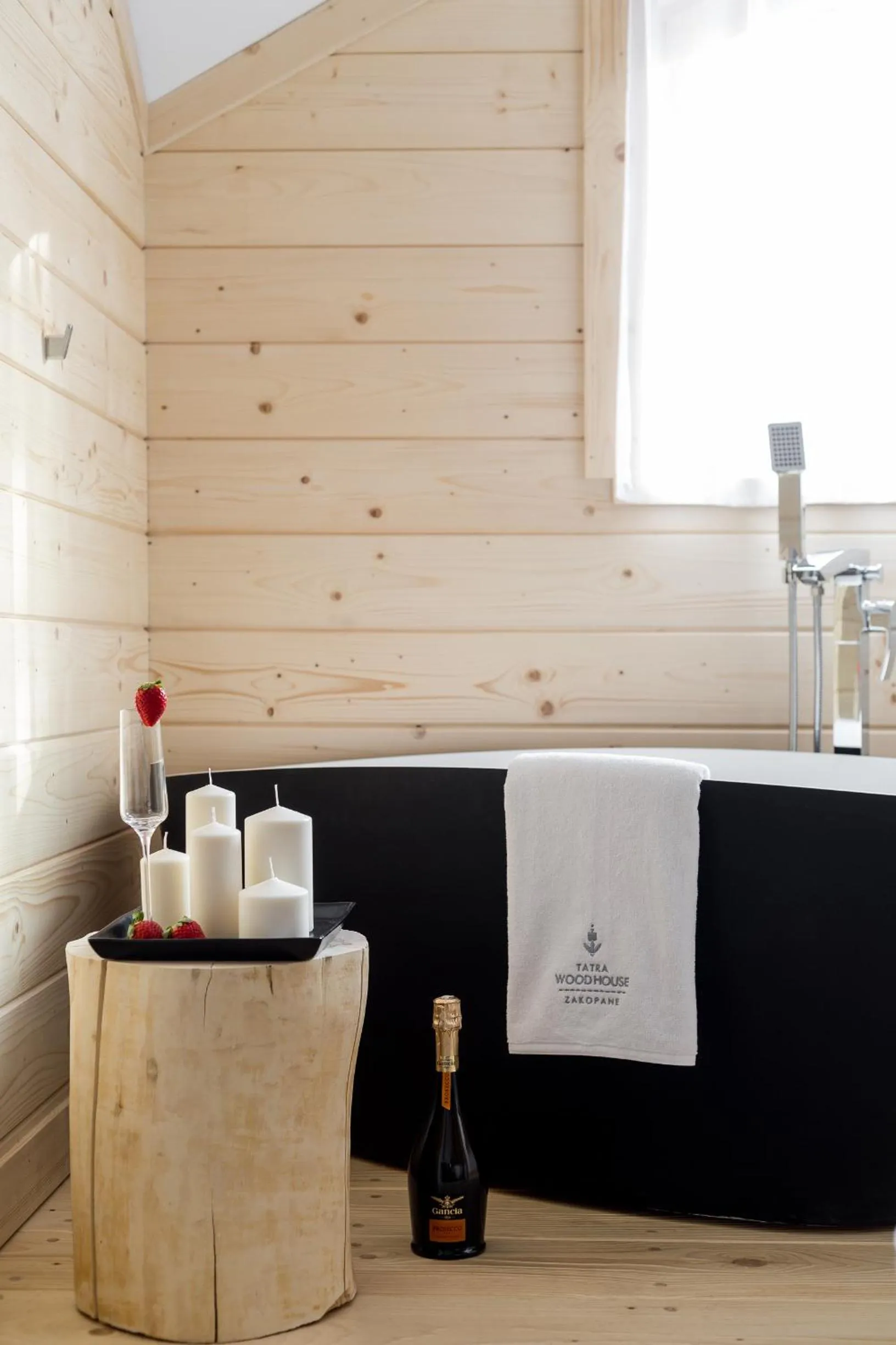 Bathroom in Tatra Wood House