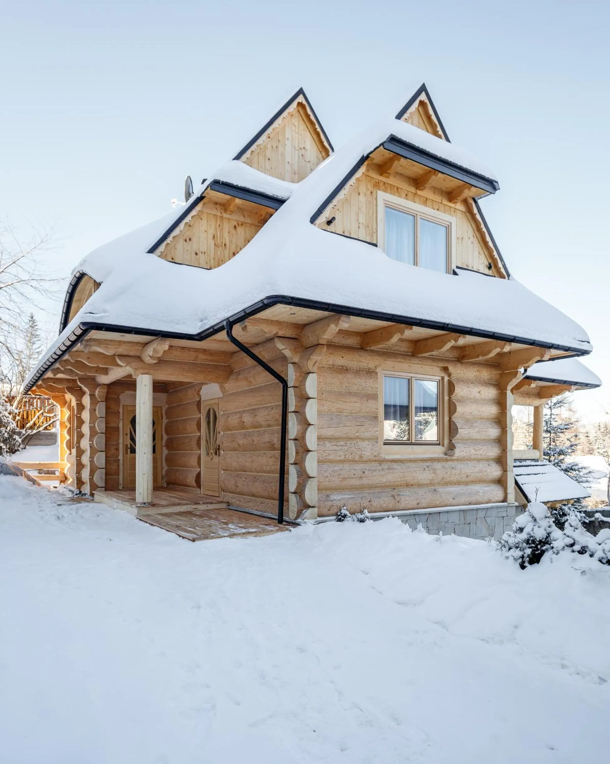 Facade/entrance in Tatra Wood House