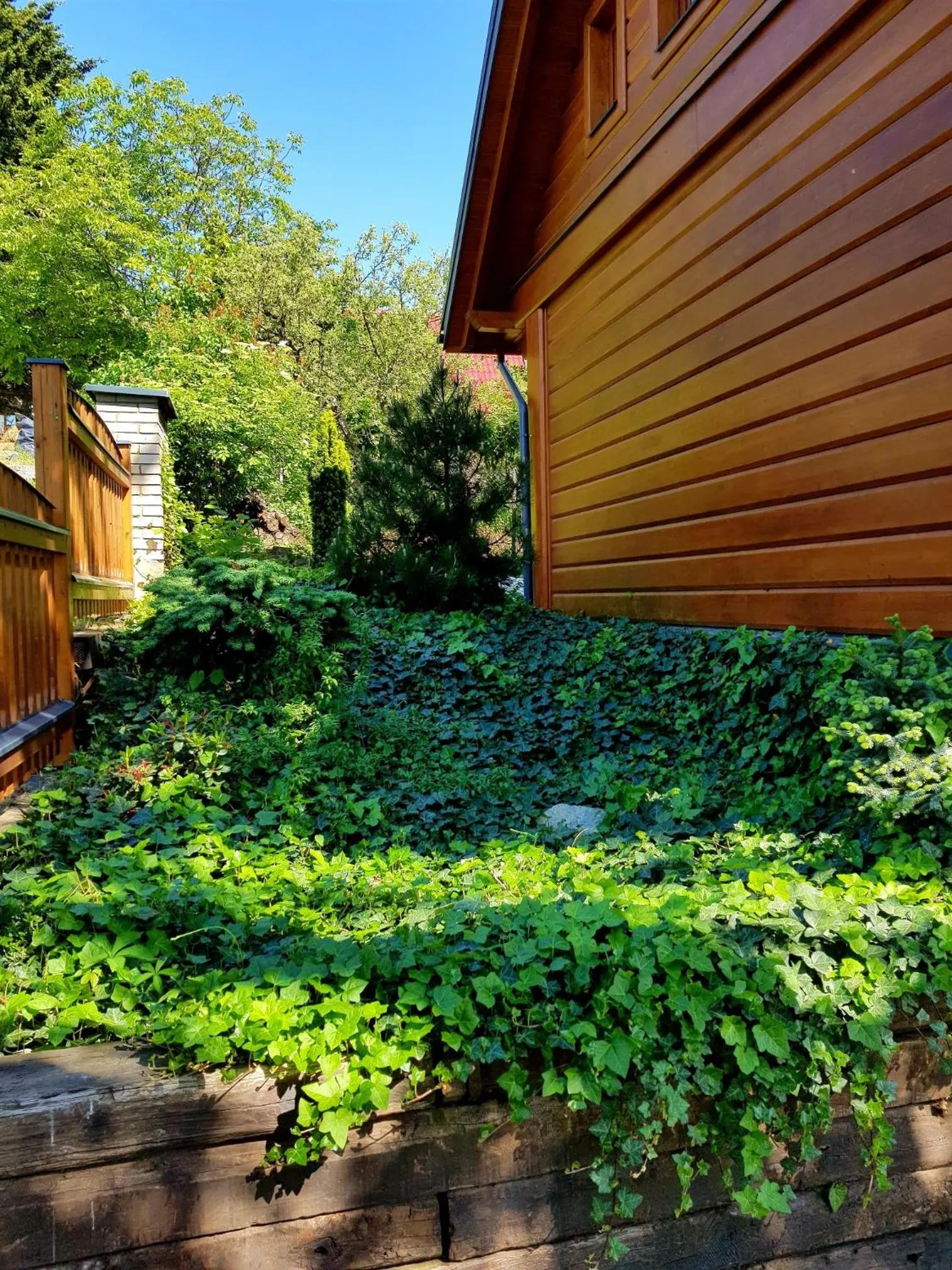 Property building in Chalupa u Macochy