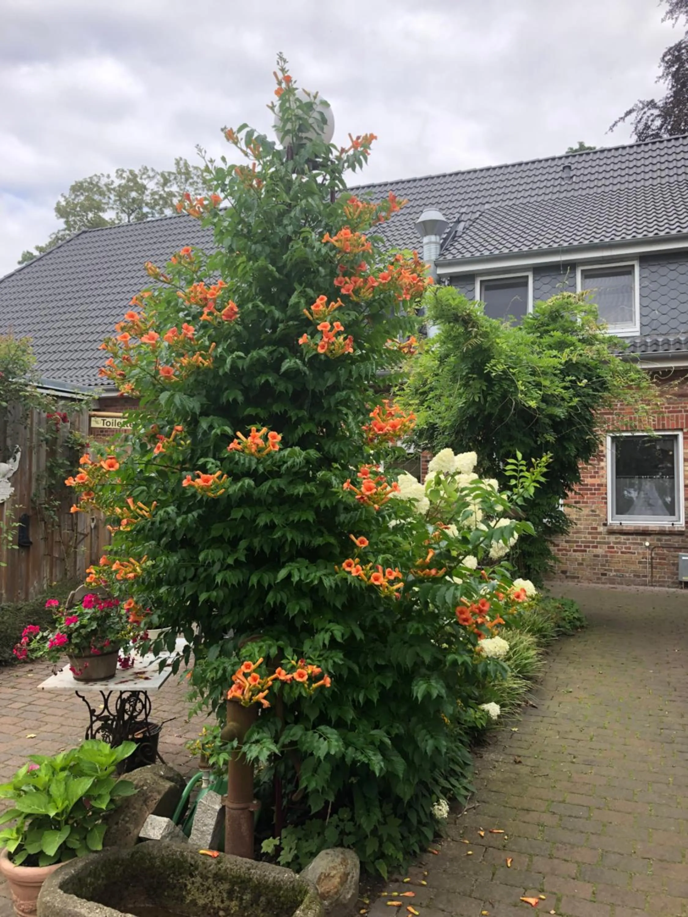 Natural landscape in Bredeneeker Gasthaus