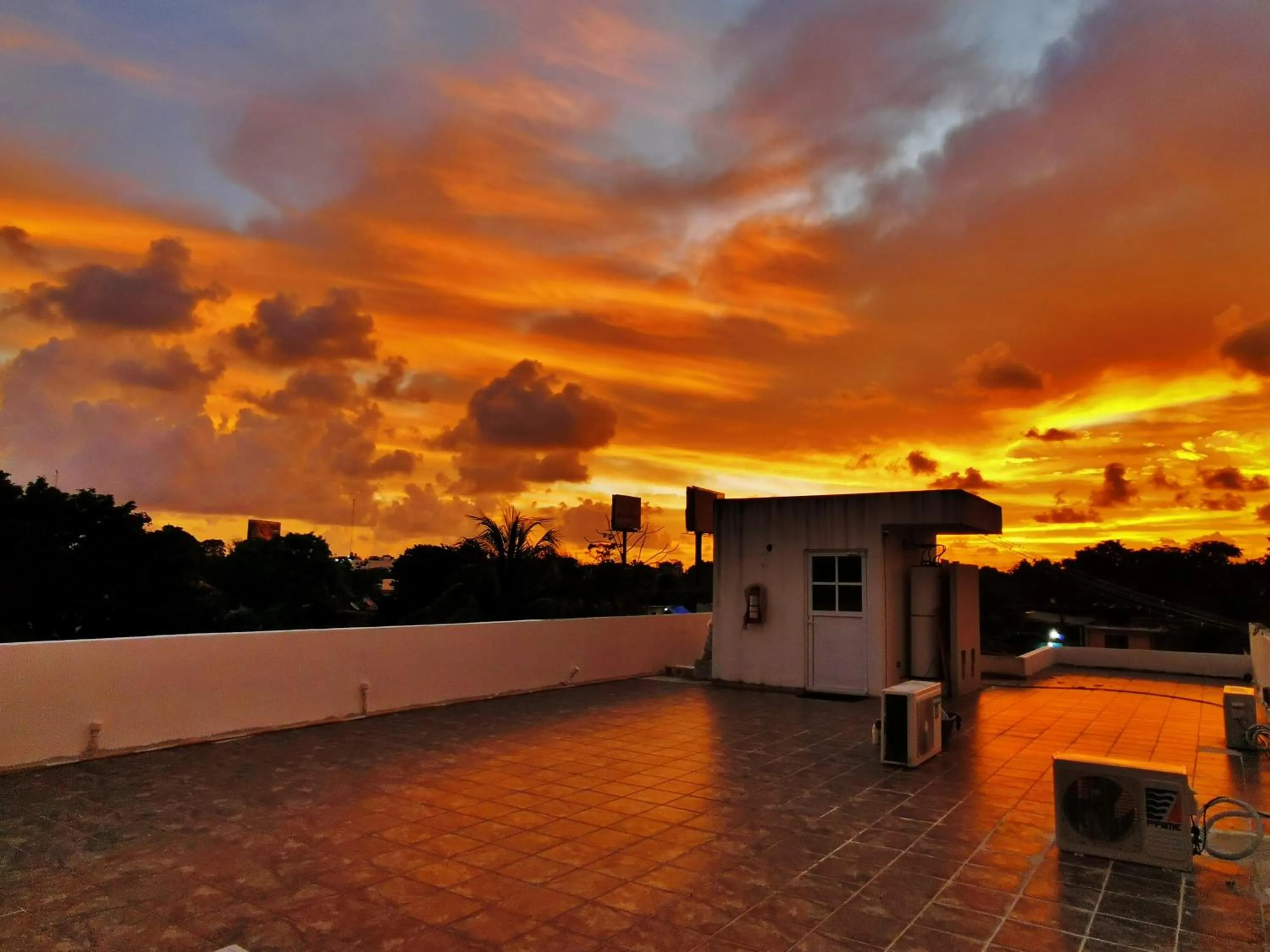 Balcony/Terrace in Hostel Humanity - Puerto Morelos