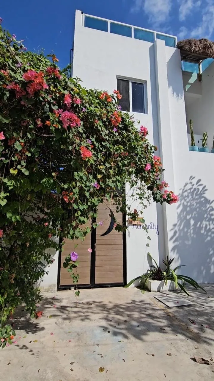 Property building in Hostel Humanity - Puerto Morelos