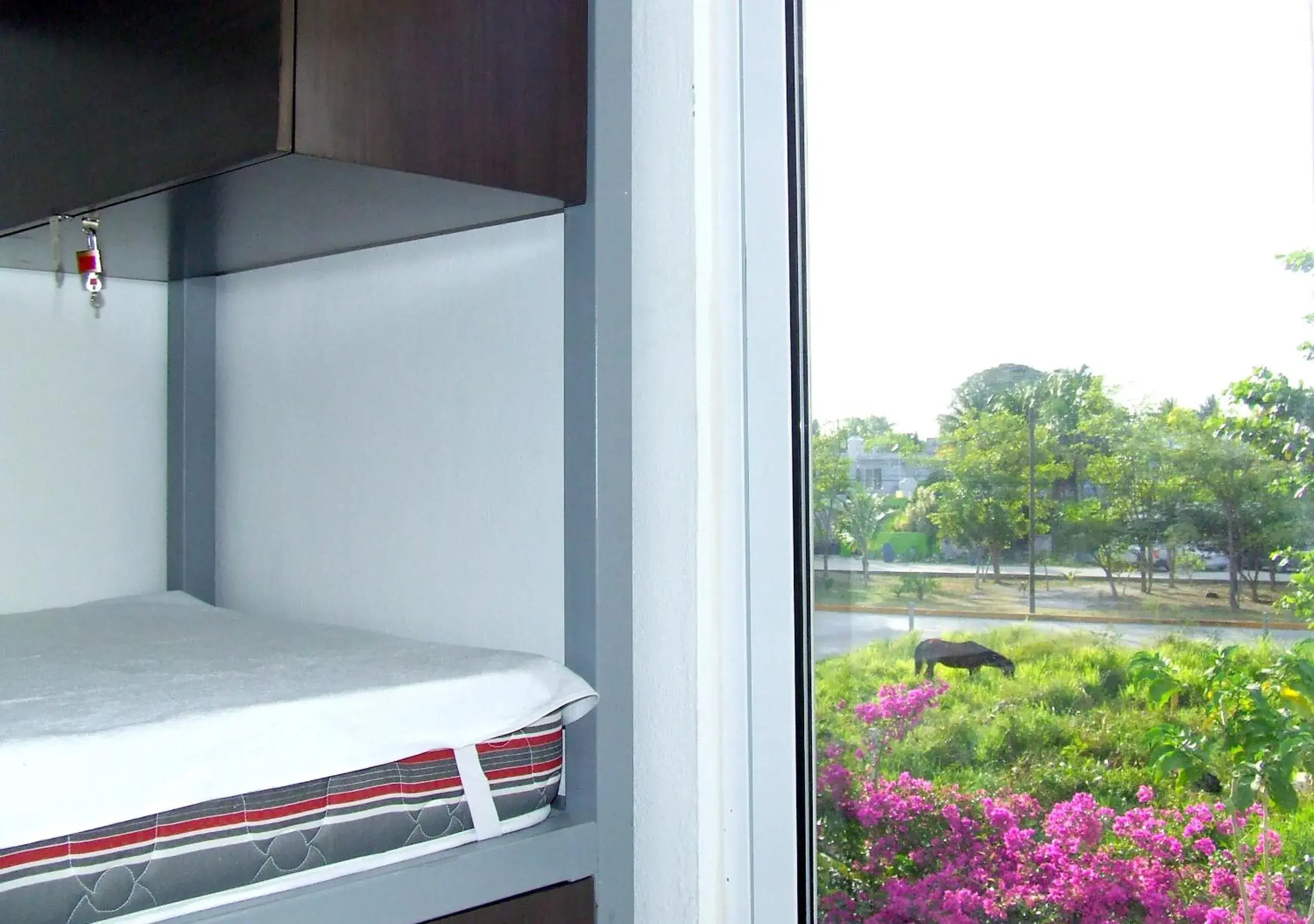 Bed in 8-Bed Mixed Dormitory Room in Hostel Humanity Bed in 8-Bed Mixed Dormitory Room in Hostel Humanity