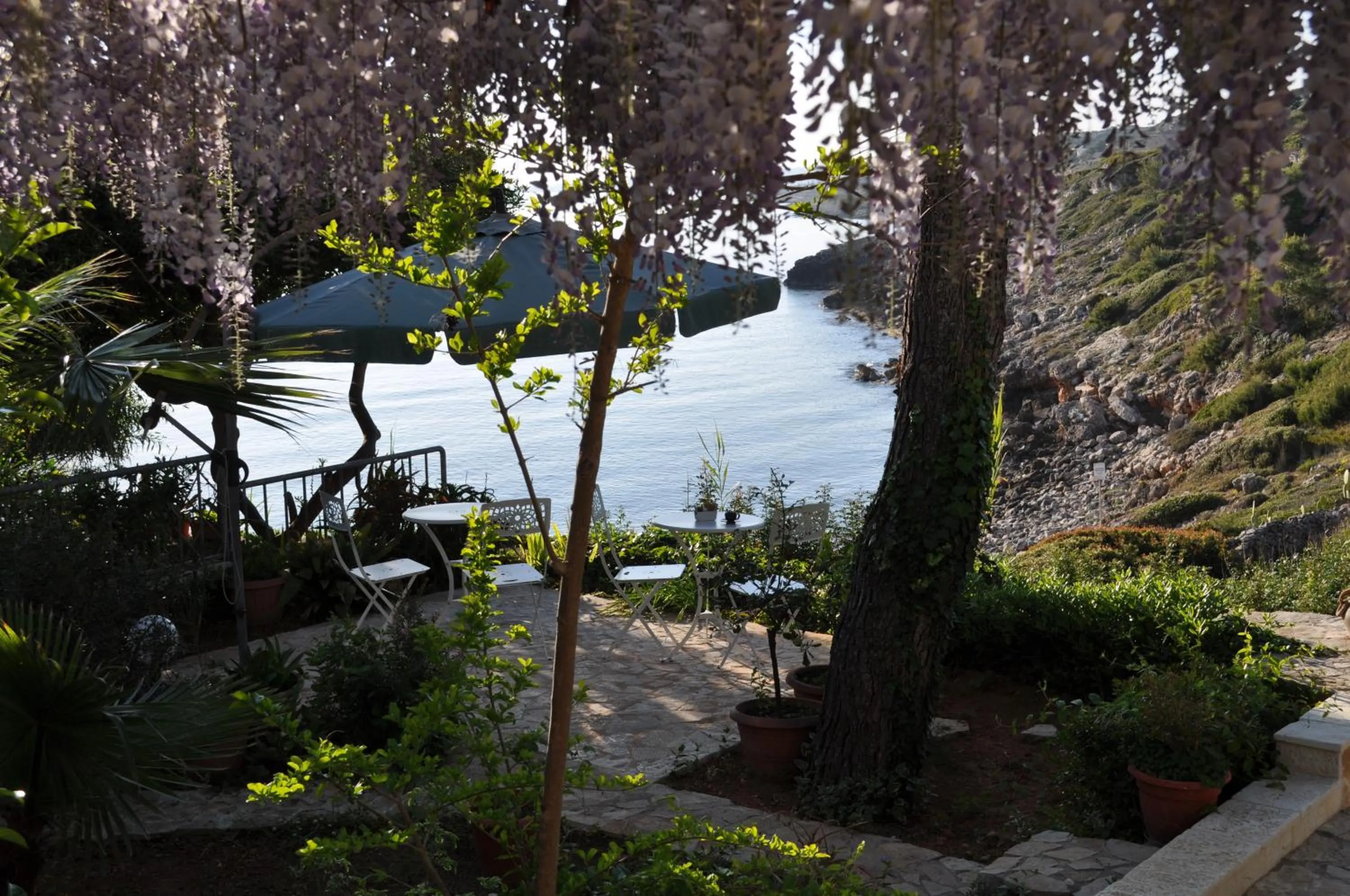 Garden in B&B ViaDelMare