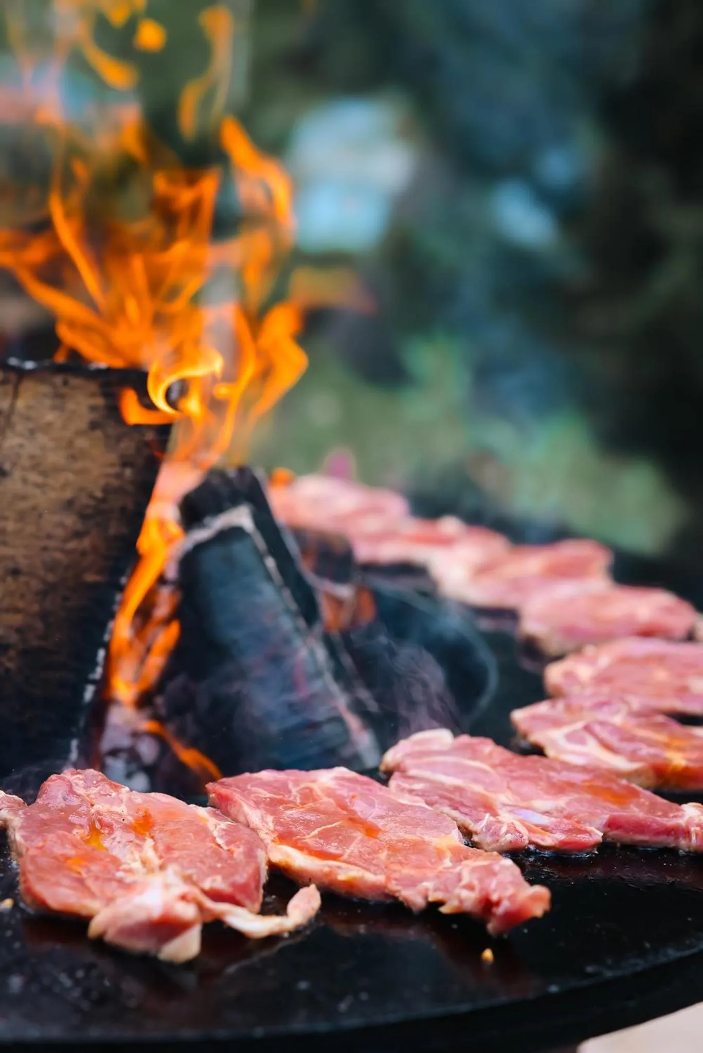 Restaurant/places to eat in Family Resort Urania