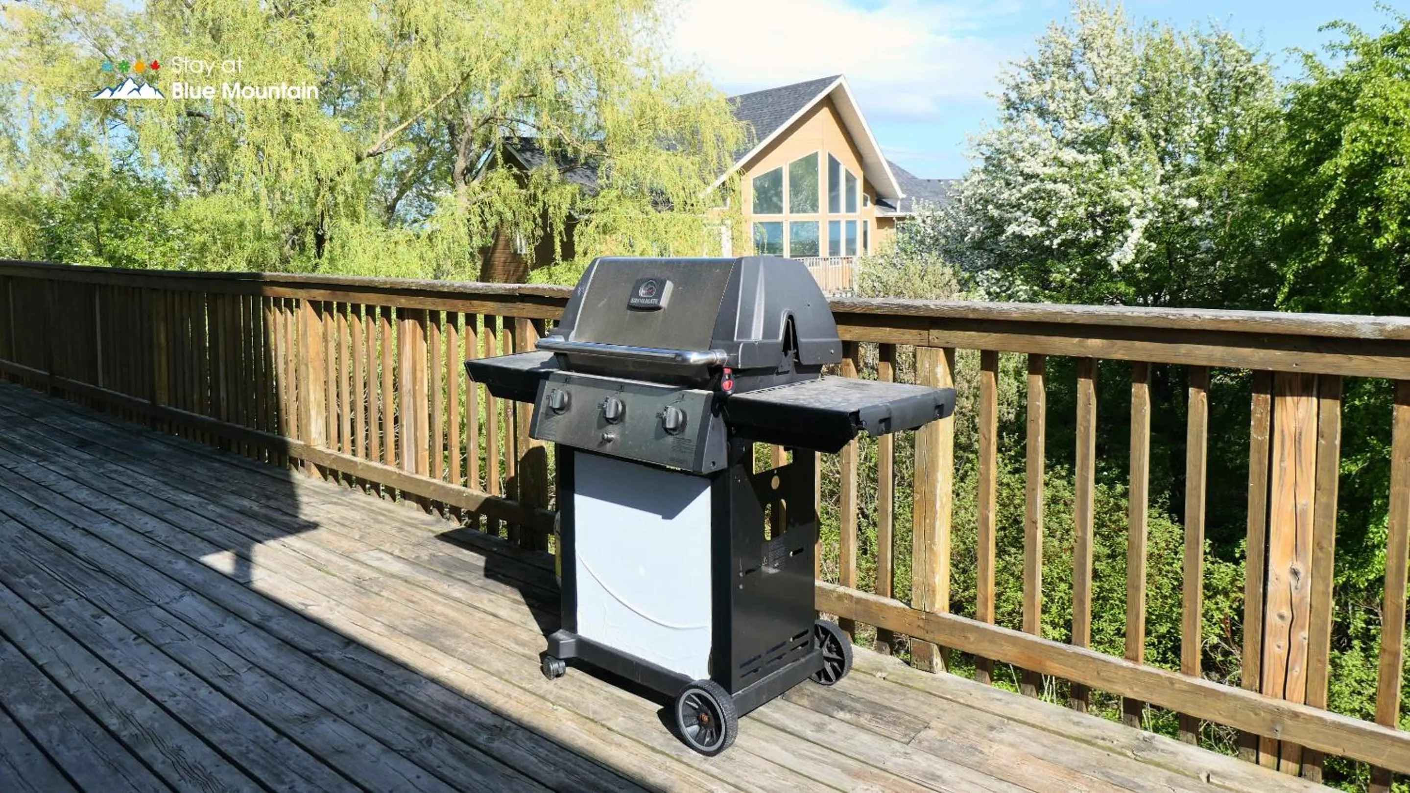 BBQ facilities in Summit Ridge 6