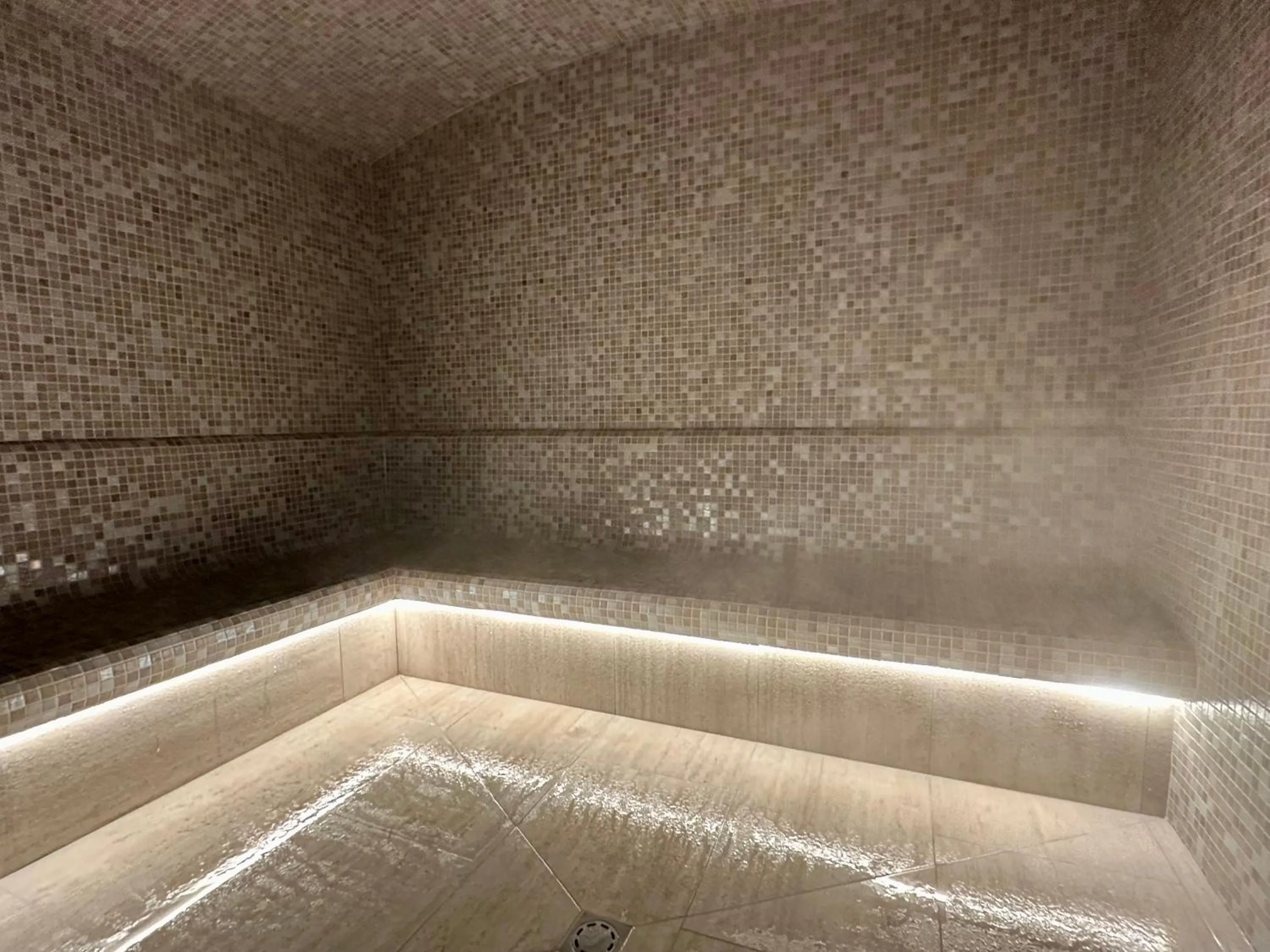 Steam room in La Bastide du Calalou Hotel & Spa, BW Signature Collection