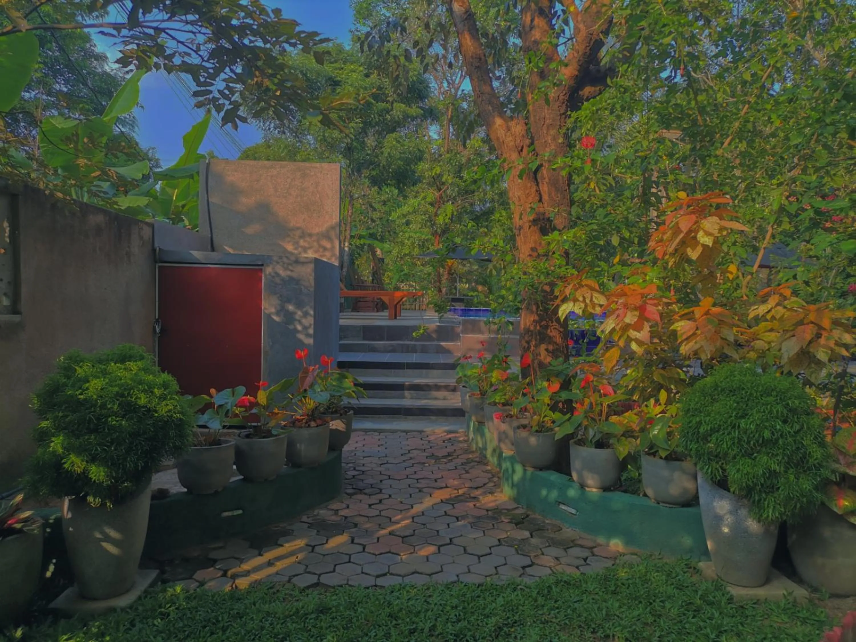 Levona Garden Resort