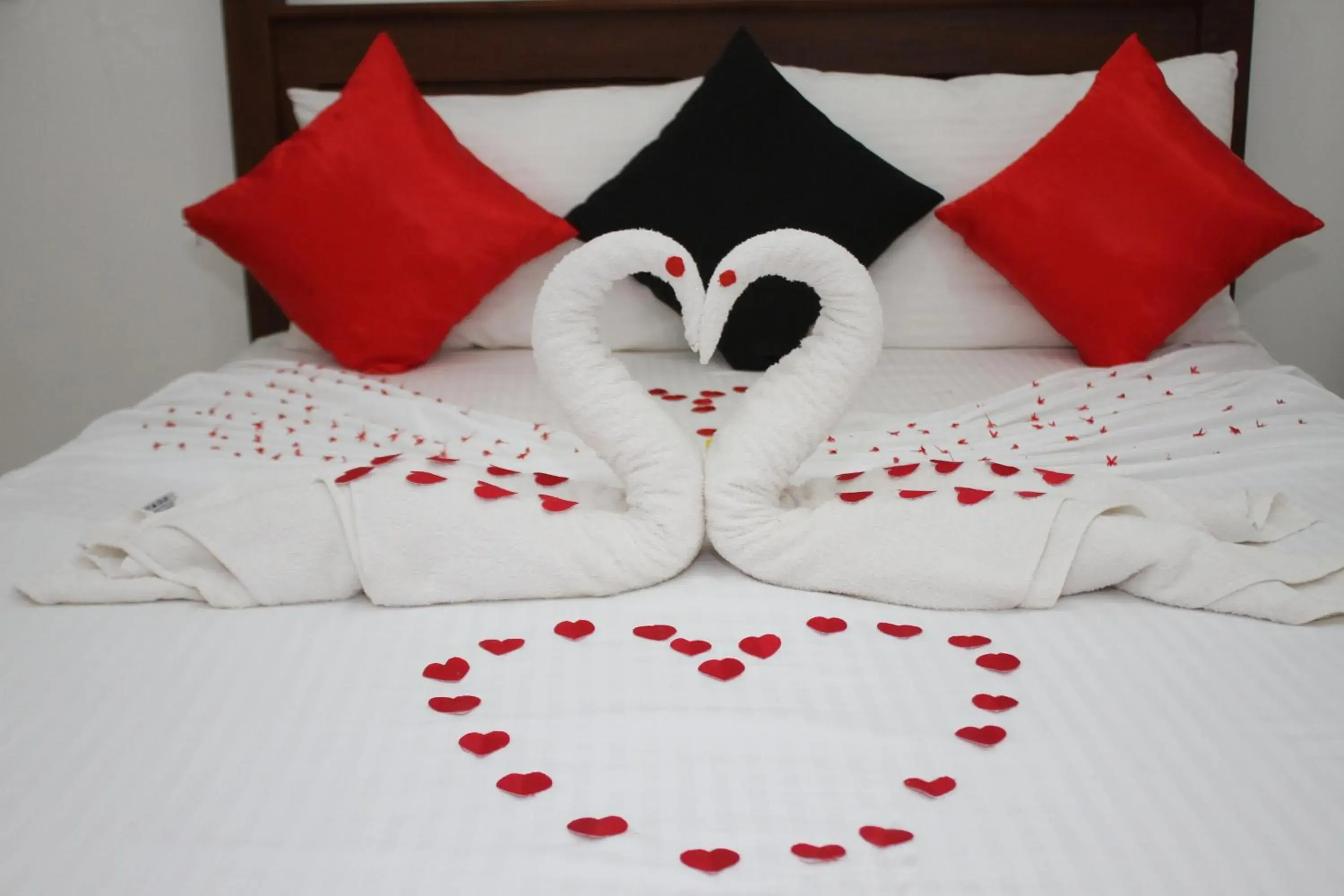 Standard Double Room with Fan in Levona Garden Resort Standard Double Room with Fan in Levona Garden Resort