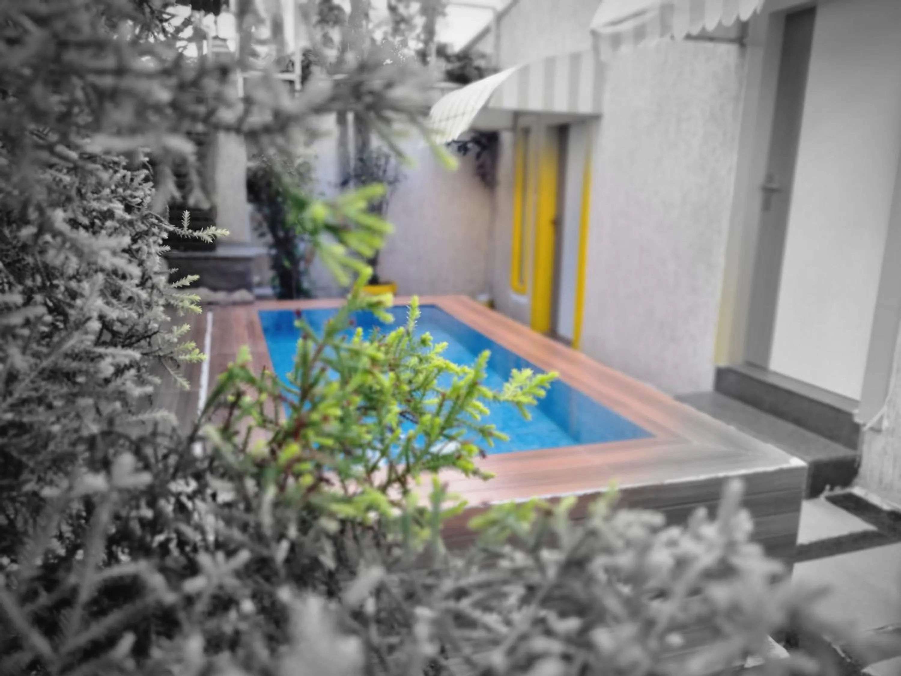 Pool view in Stay Inn