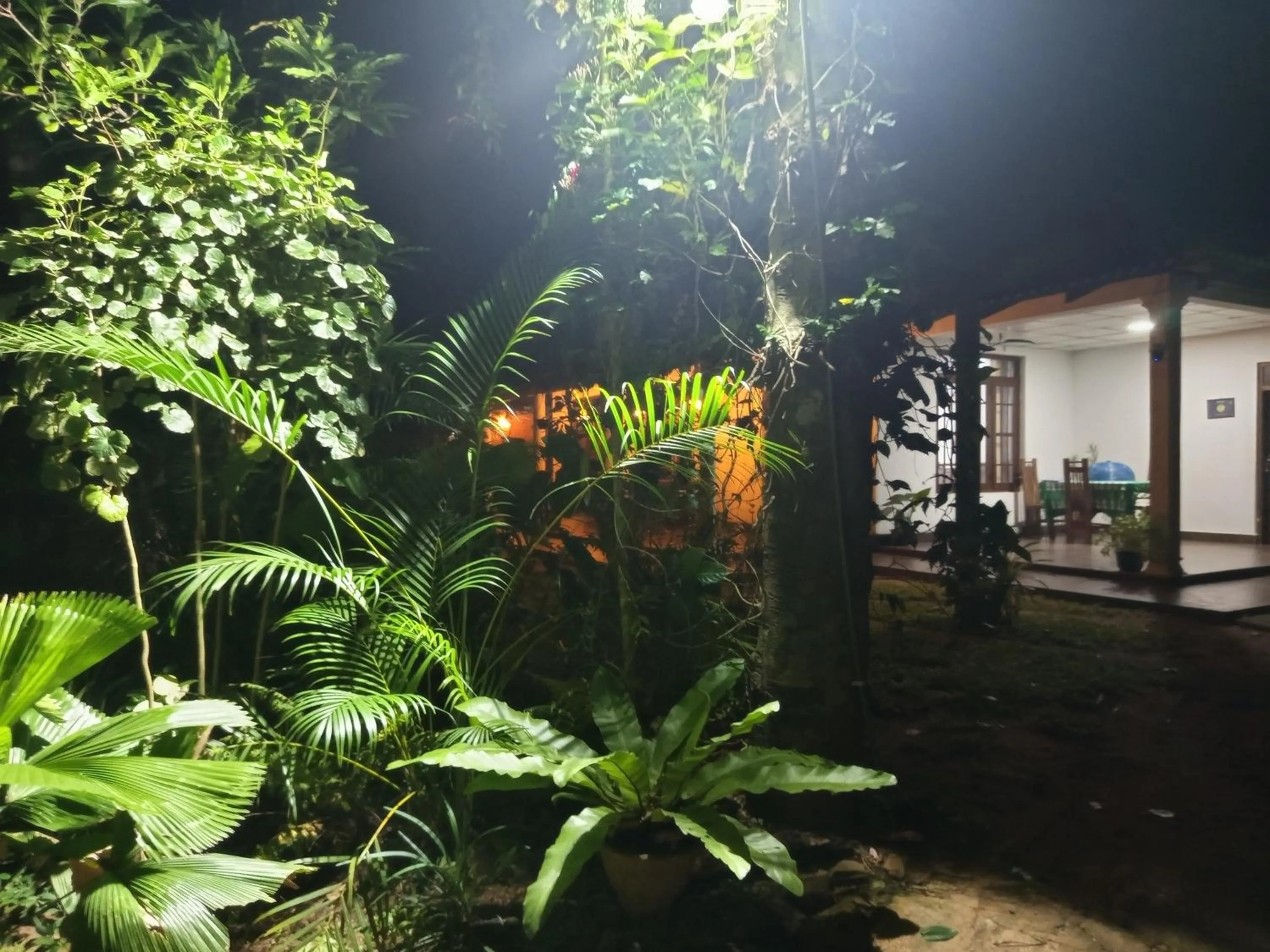 Sun & Queen Villa