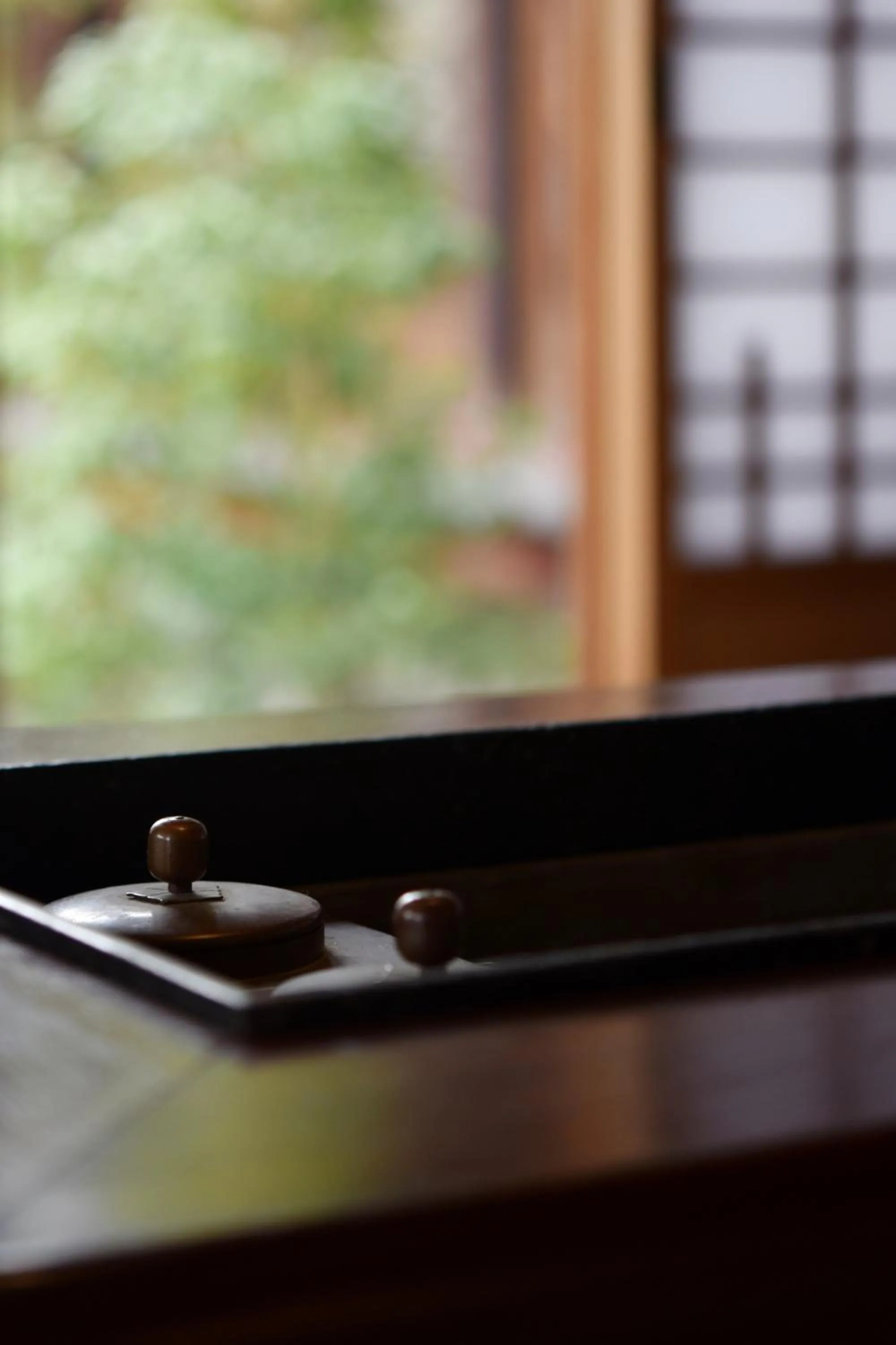 Winter in Ubusuna no Sato TOMIMOTO