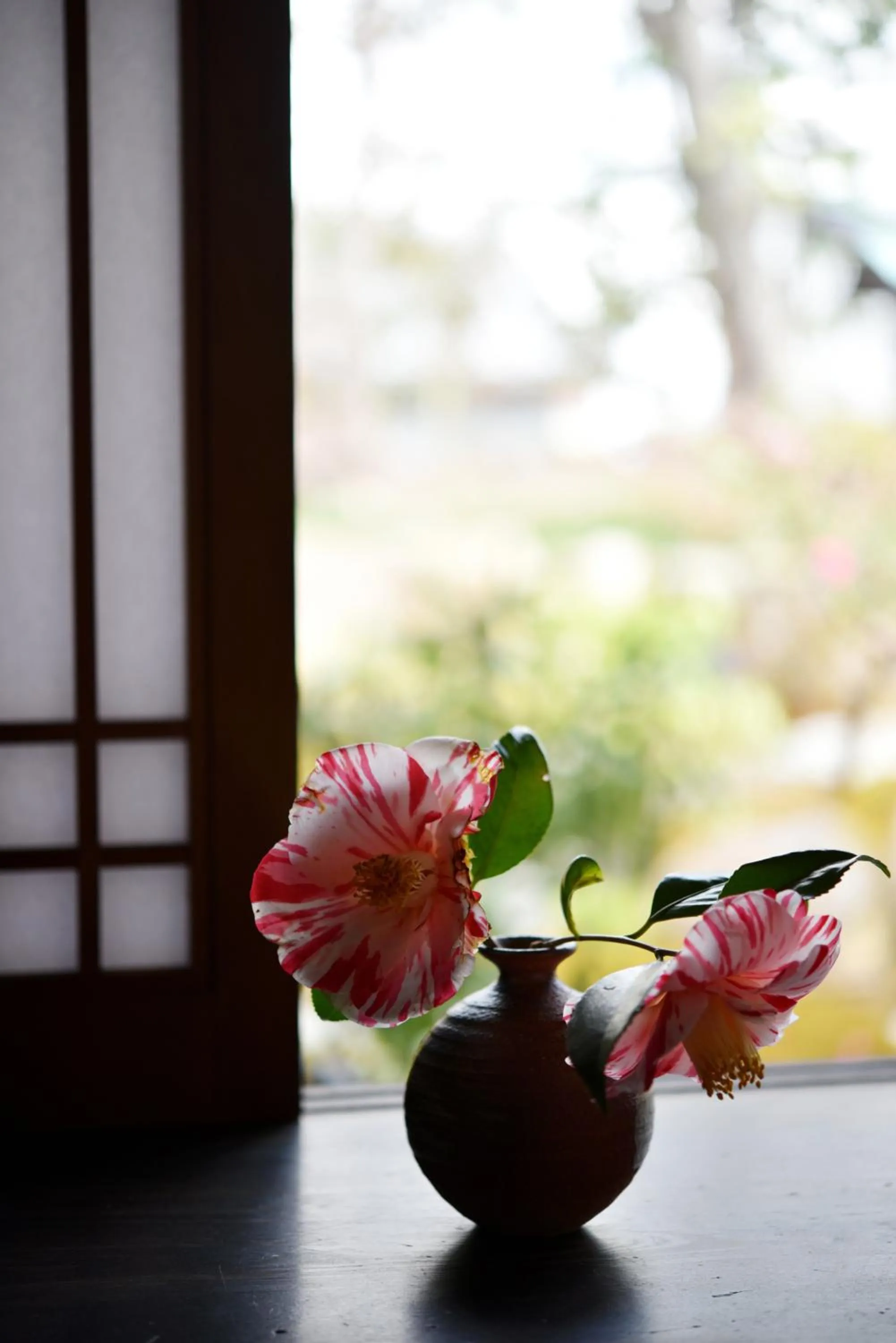 Garden view in Ubusuna no Sato TOMIMOTO