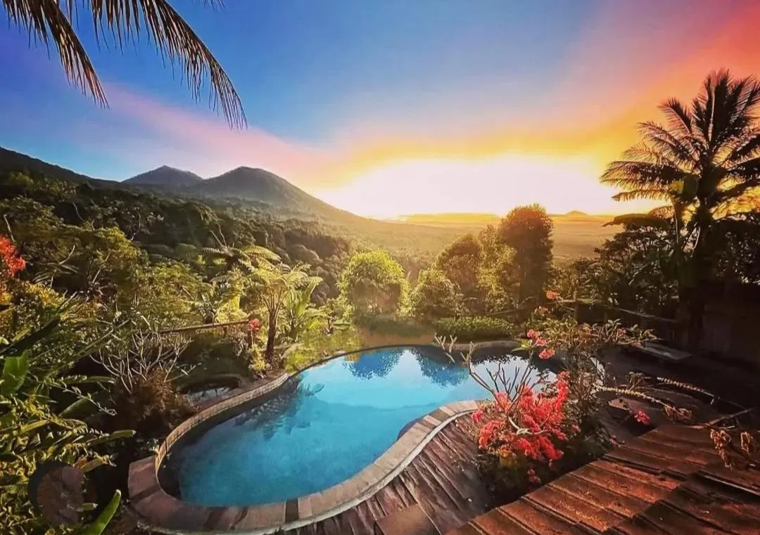 DWan Tea Mountain Side