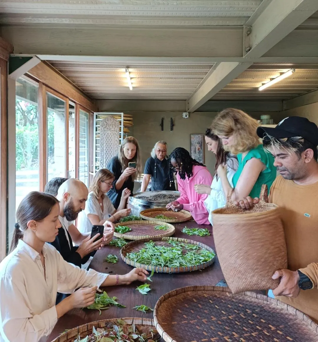 Food and drinks in DWan Tea Mountain Side