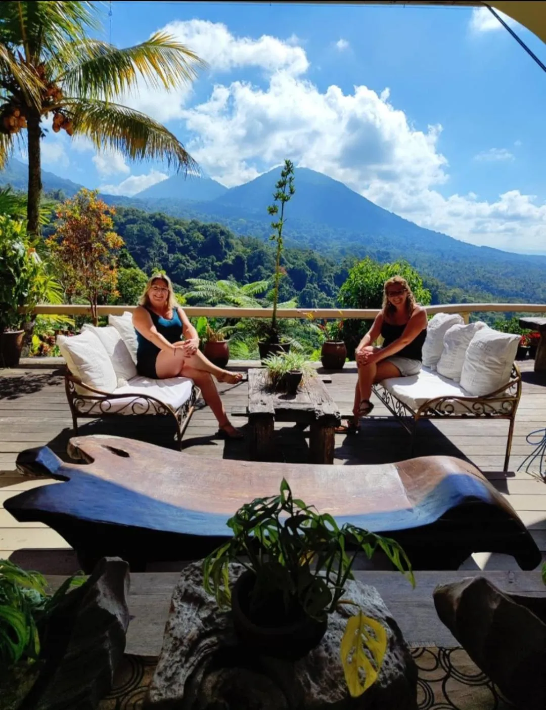 DWan Tea Mountain Side