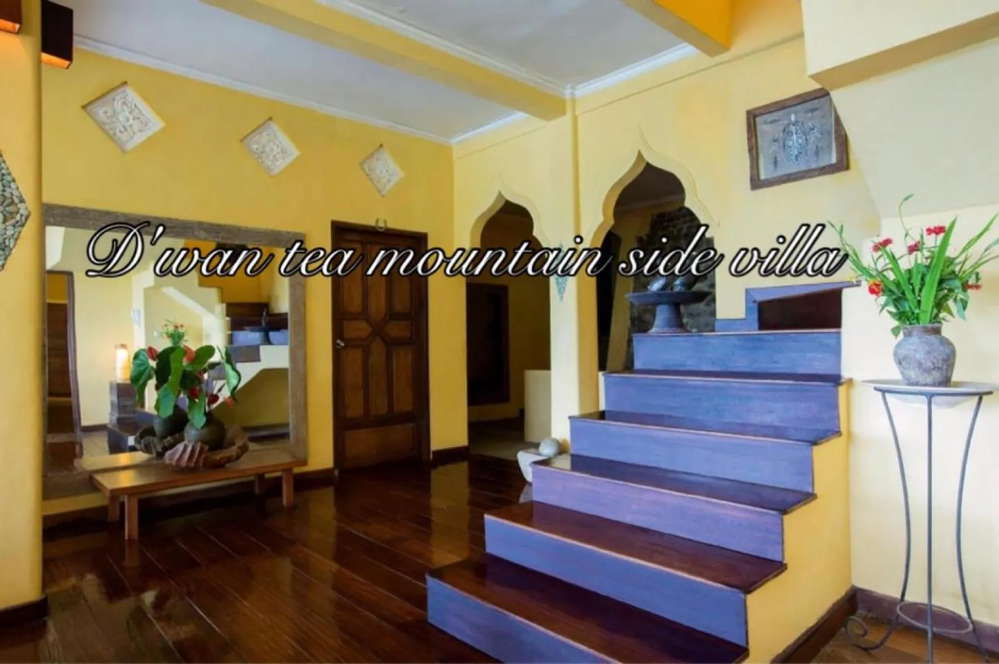 DWan Tea Mountain Side