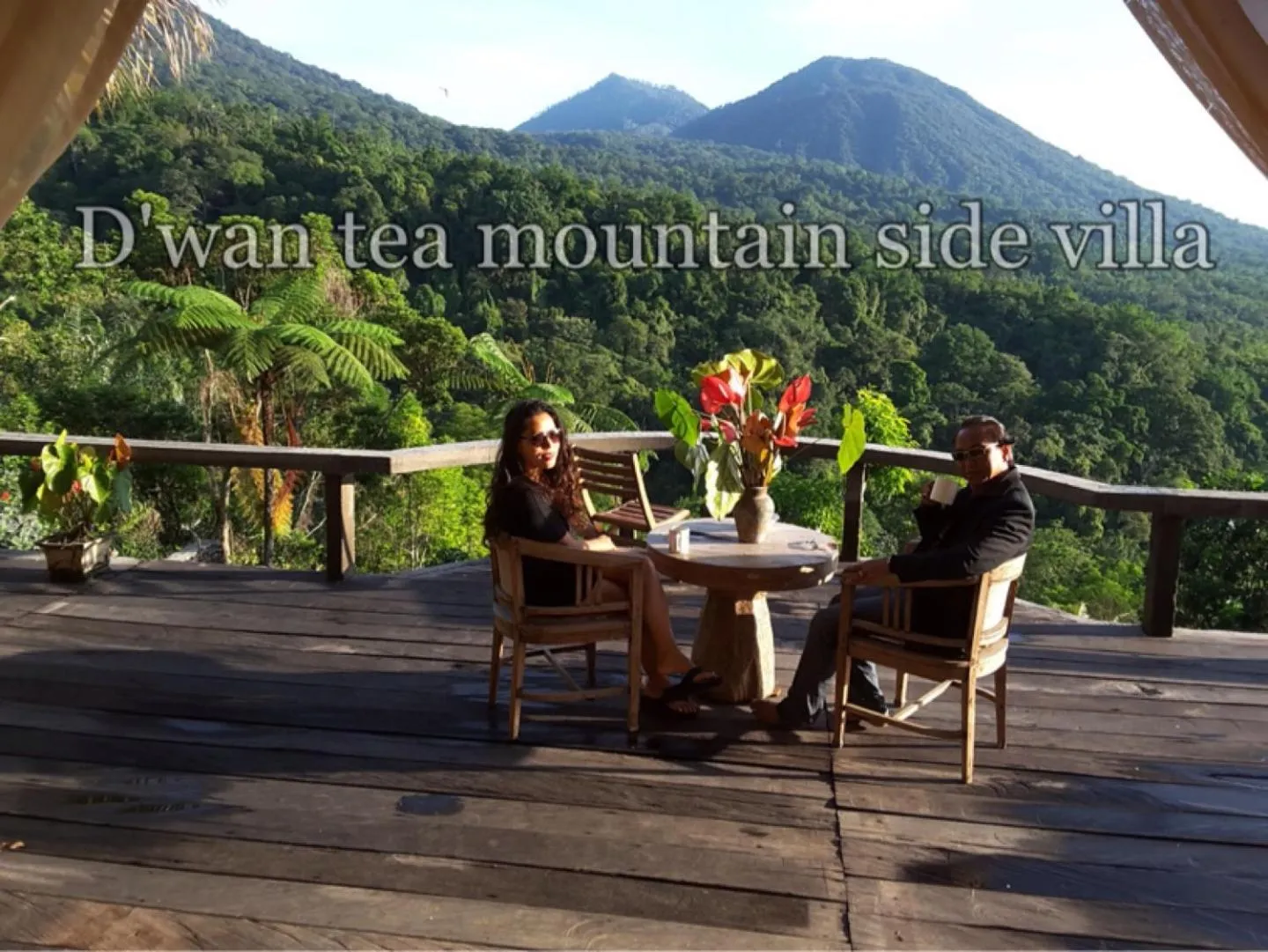 DWan Tea Mountain Side