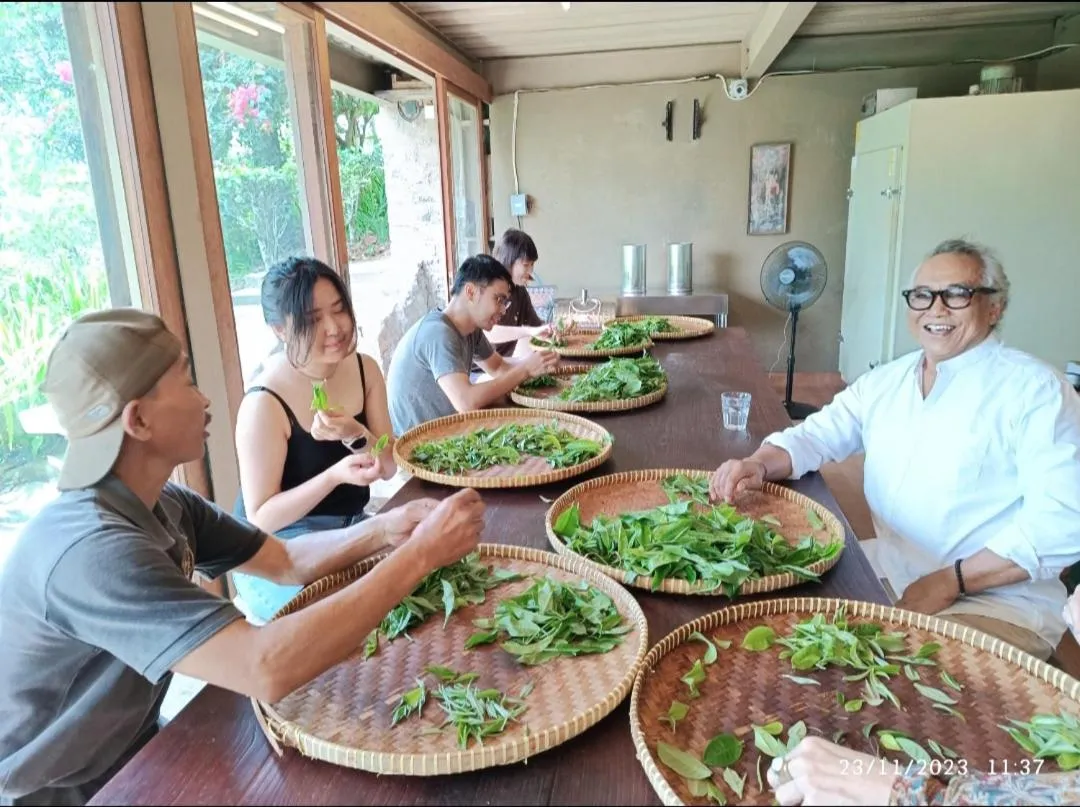 People in DWan Tea Mountain Side