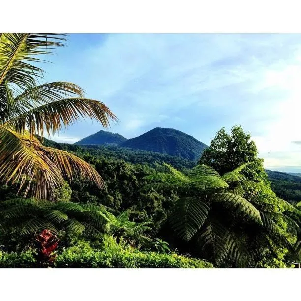 Nearby landmark in DWan Tea Mountain Side