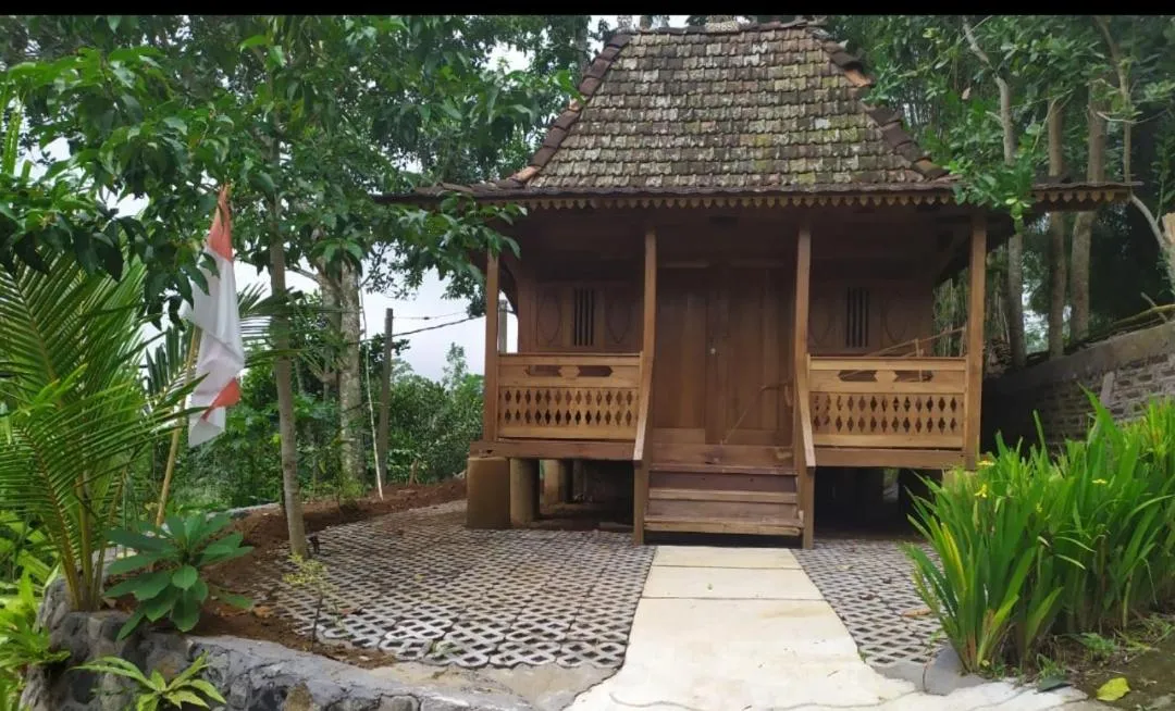 DWan Tea Mountain Side