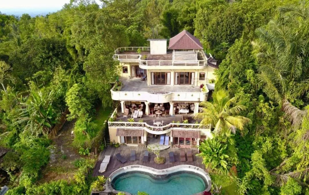 DWan Tea Mountain Side