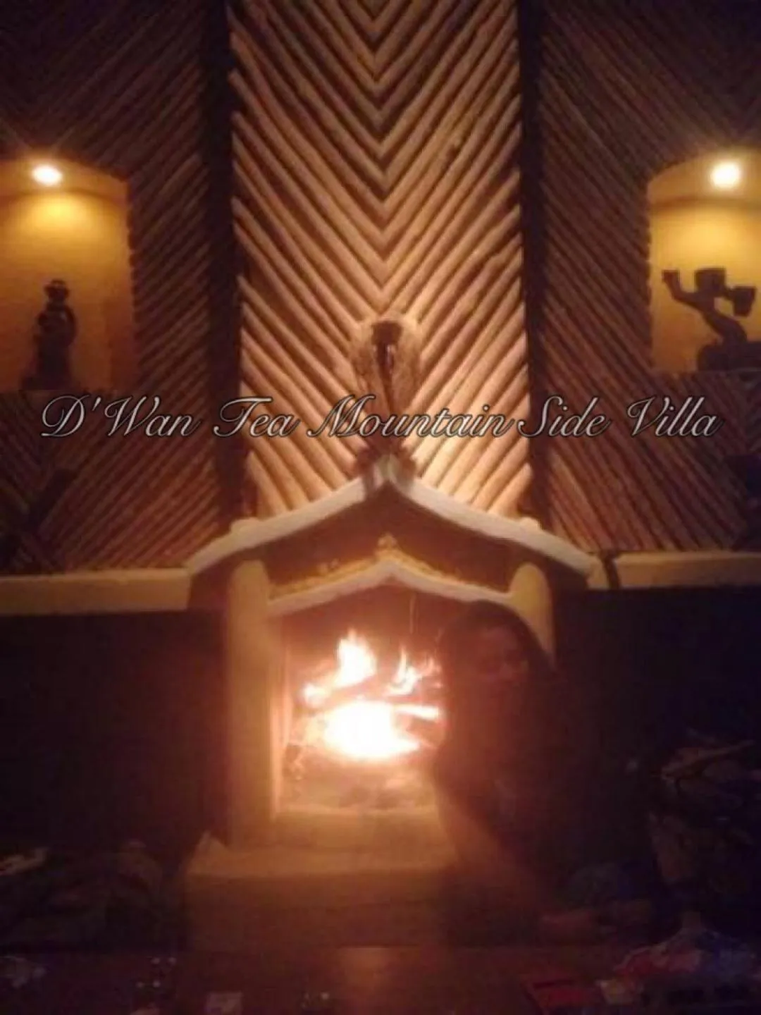 DWan Tea Mountain Side