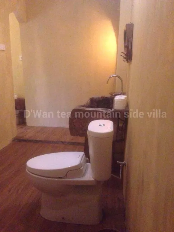 DWan Tea Mountain Side