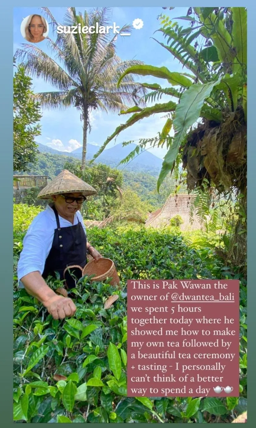 DWan Tea Mountain Side