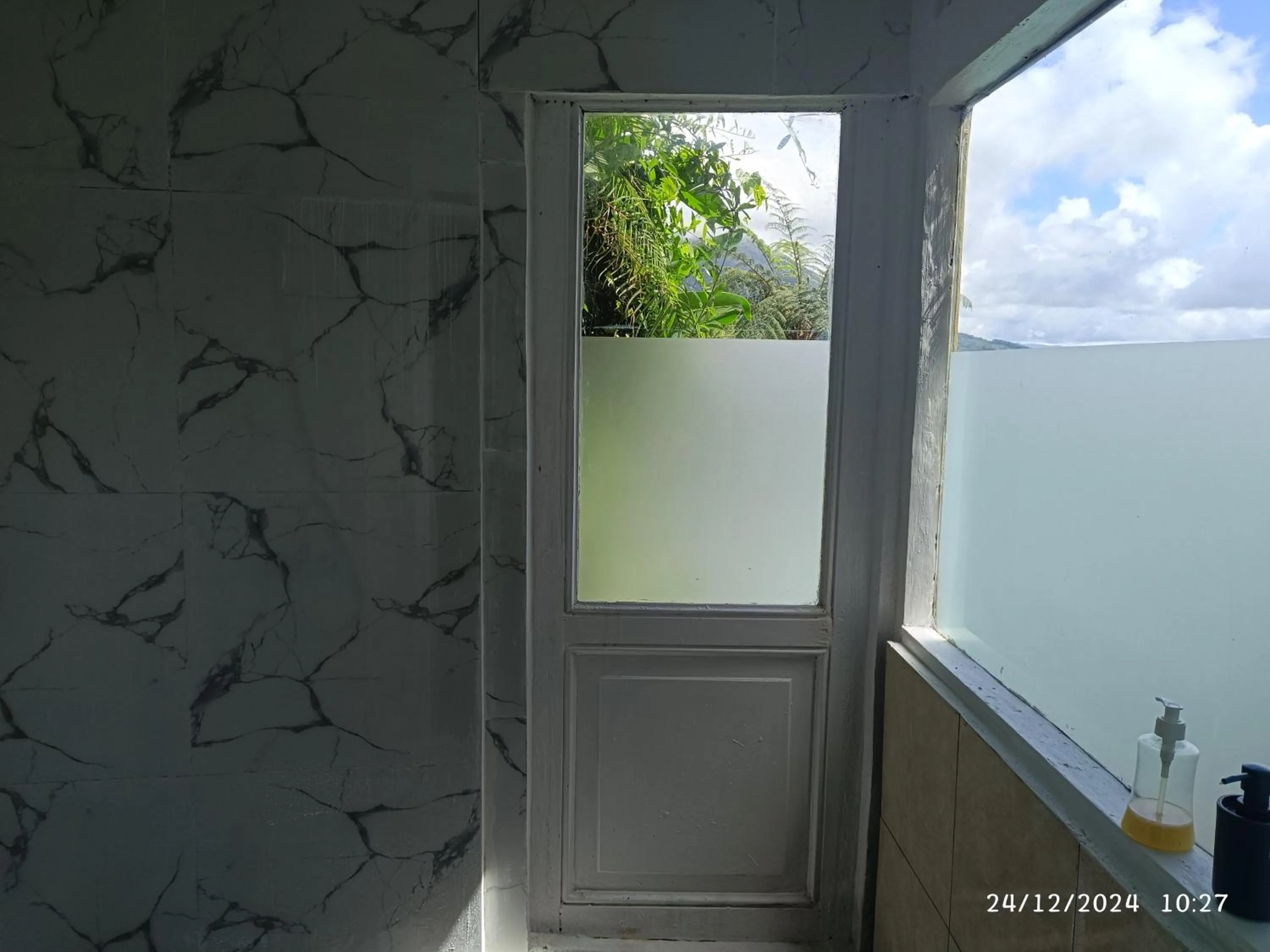 DWan Tea Mountain Side