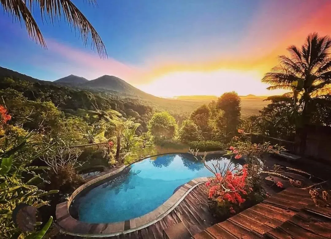 DWan Tea Mountain Side