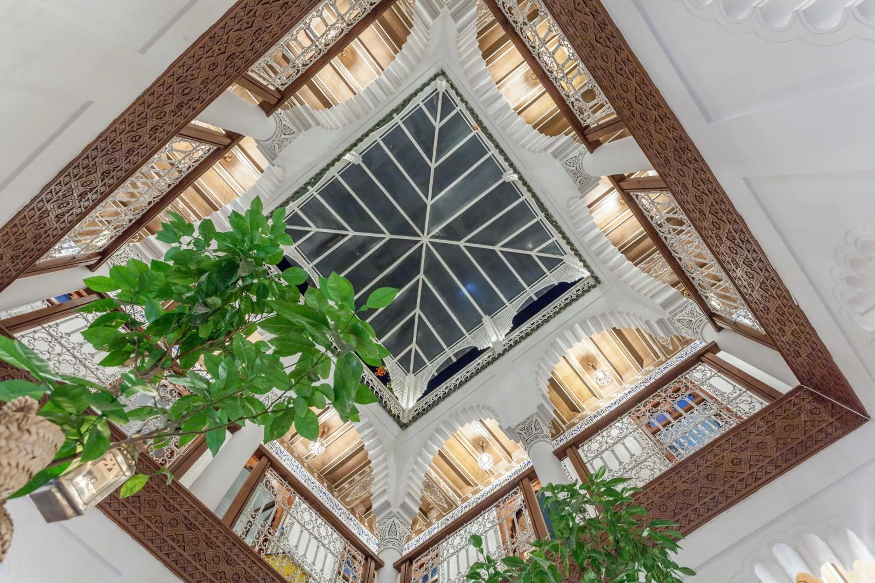 Patio in Astra Damus Hotel