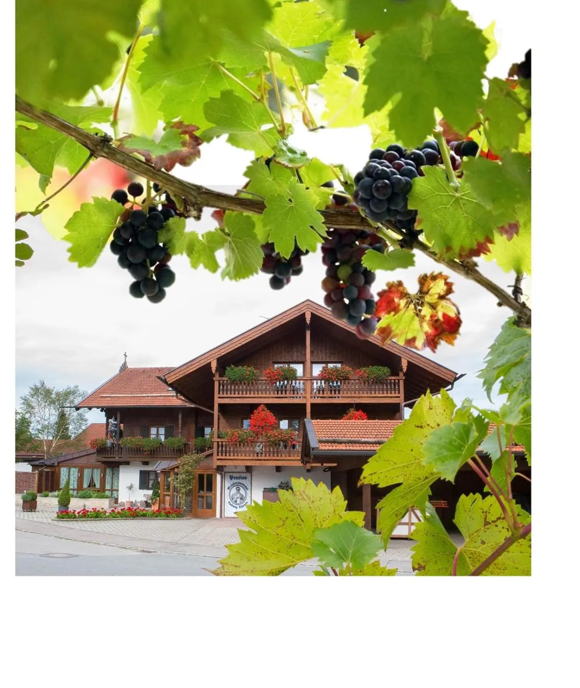 Property building in Pension Ludwig Thoma