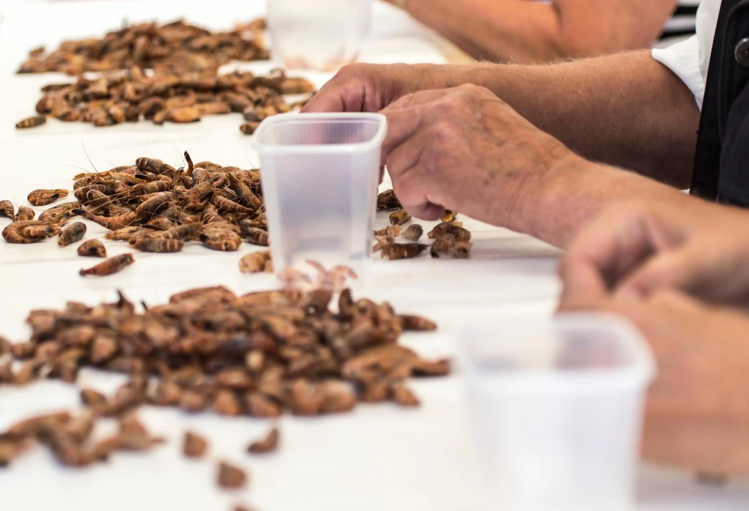 Hotel Zum Alten Siel