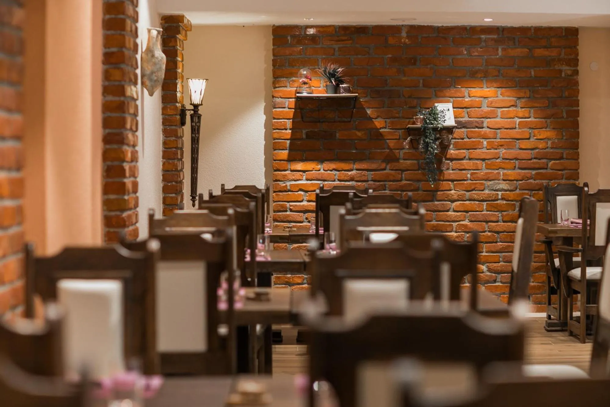 Restaurant/places to eat in Hotel Salona Palace