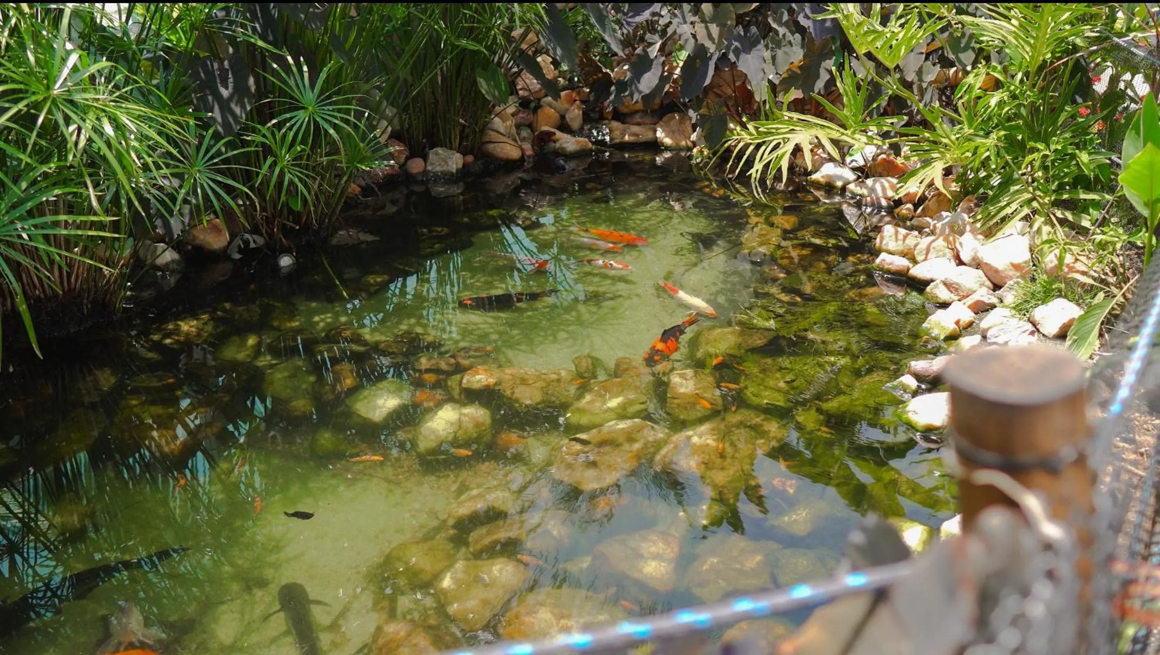 Garden in Altiplano Hotel