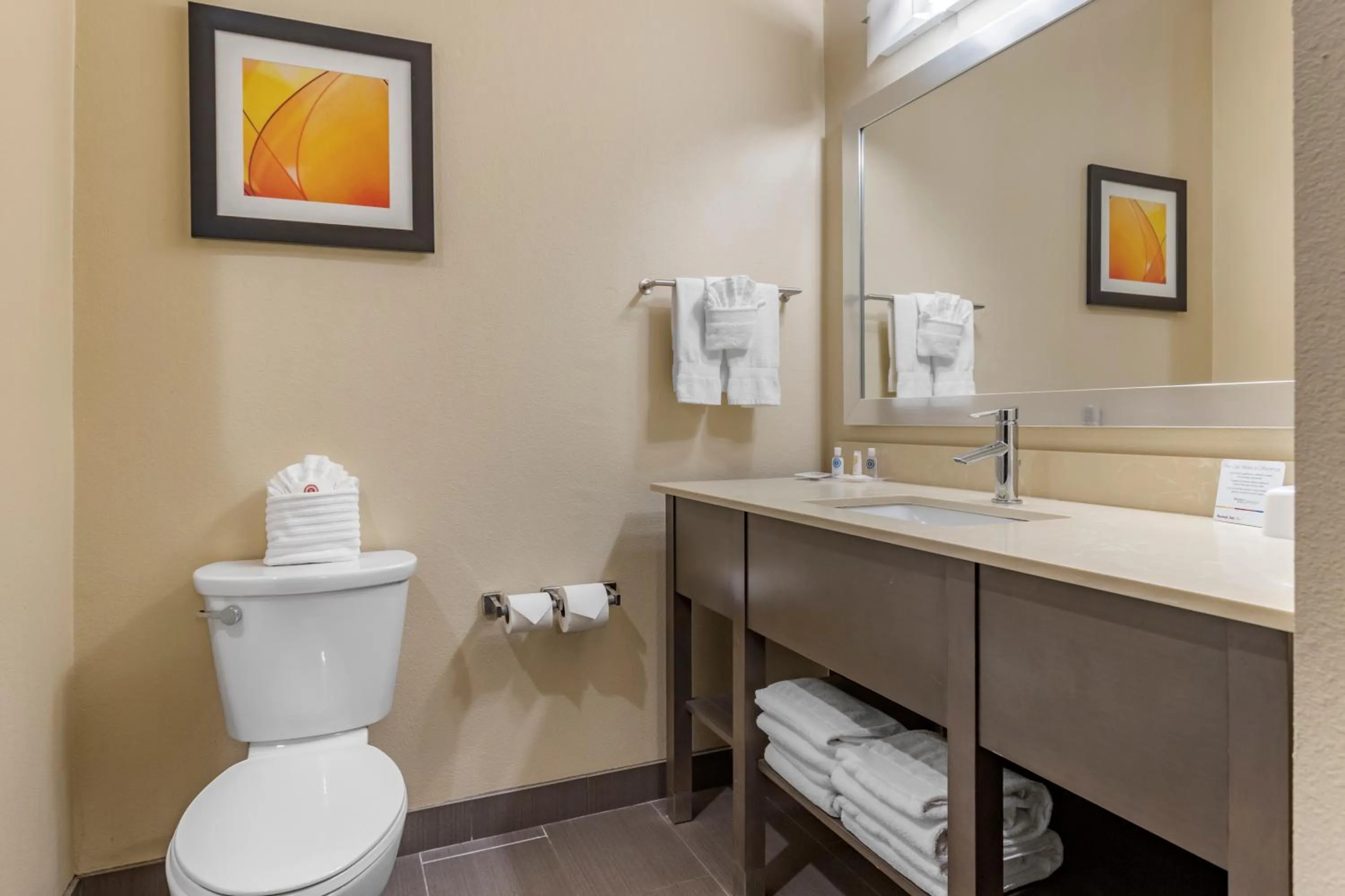 Bathroom in Comfort Suites Near Sam Houston Race Park