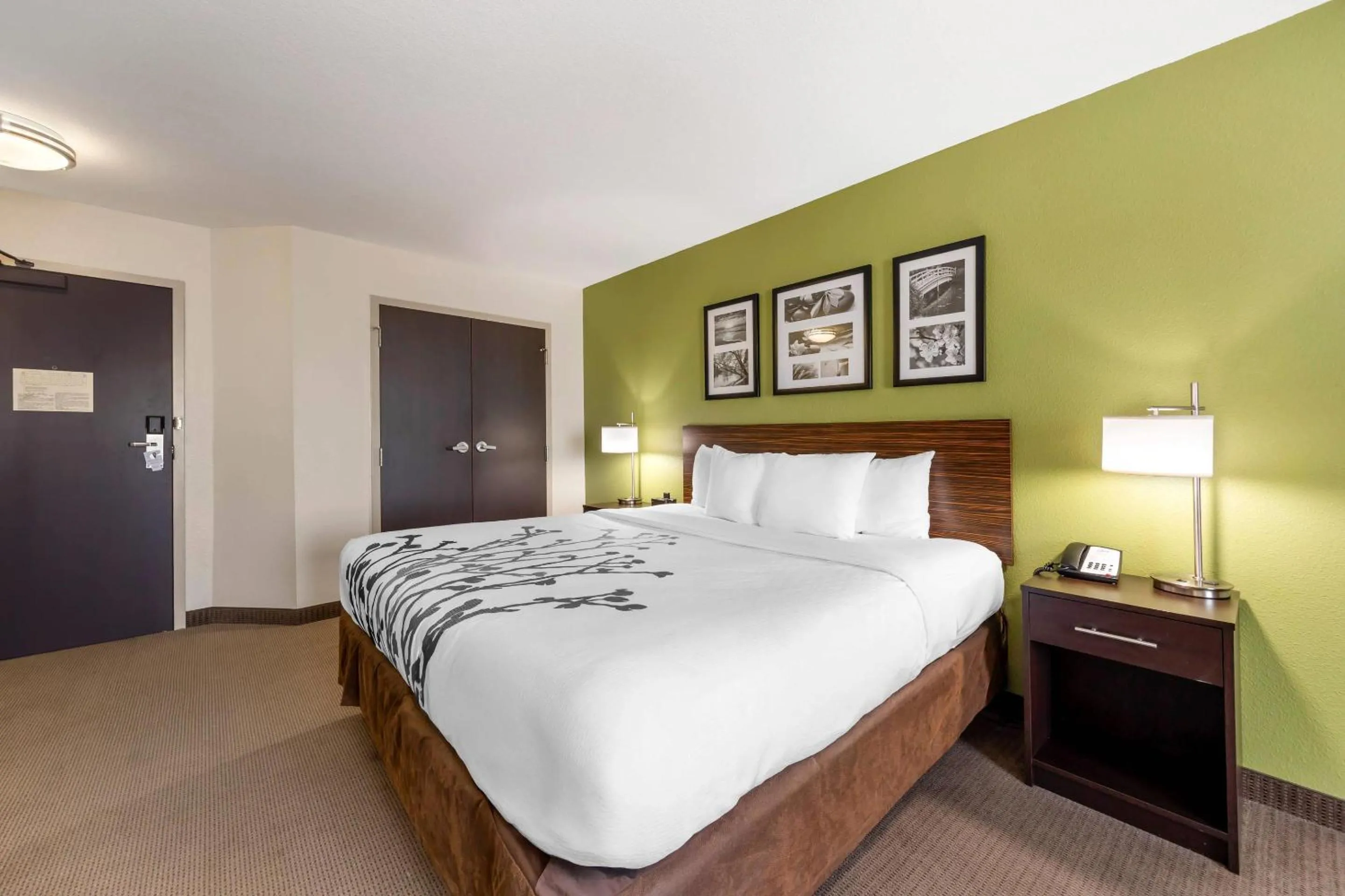 Bedroom, Bed in Sleep Inn & Suites Columbia