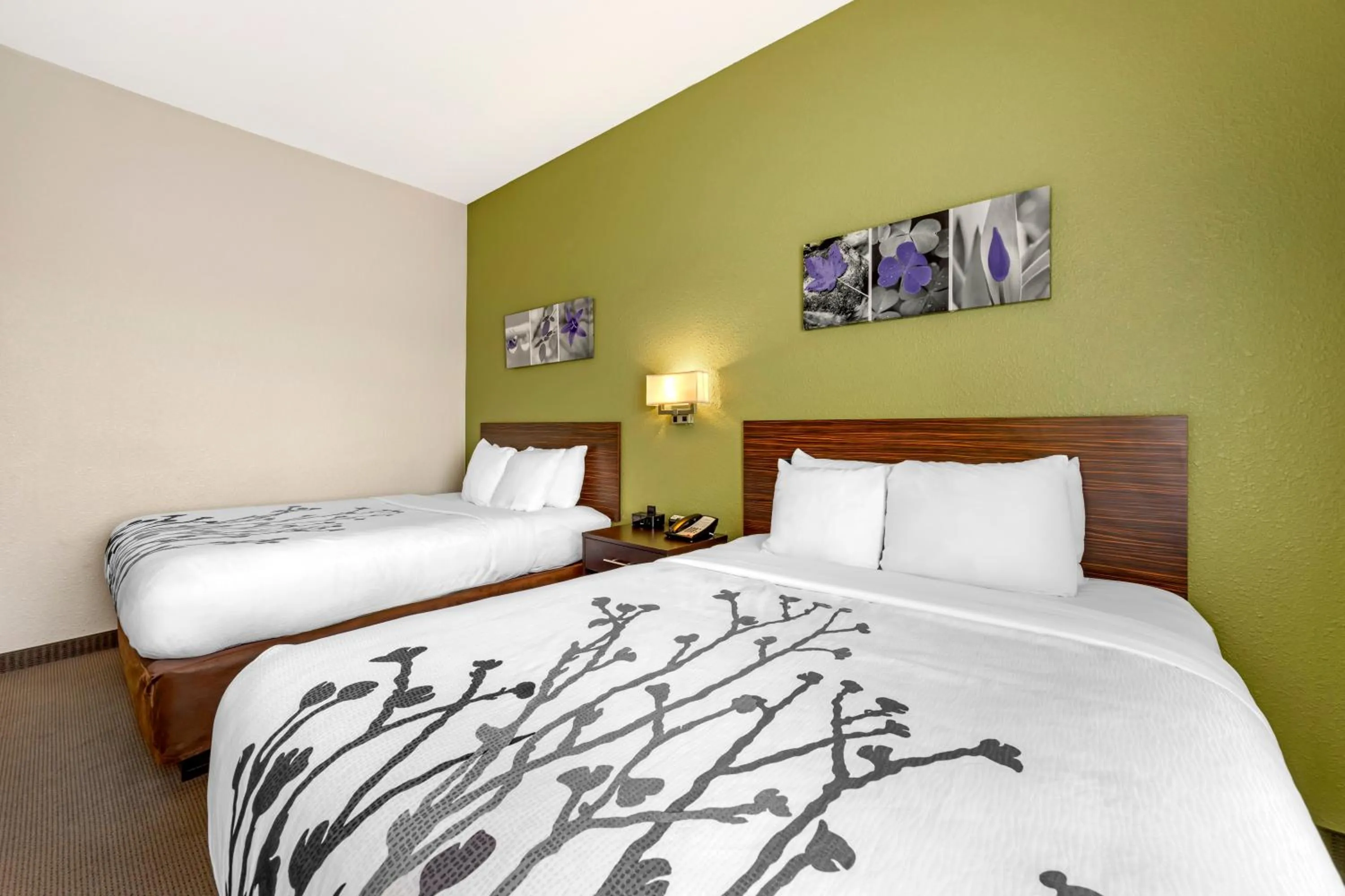 Bed in Sleep Inn & Suites Columbia